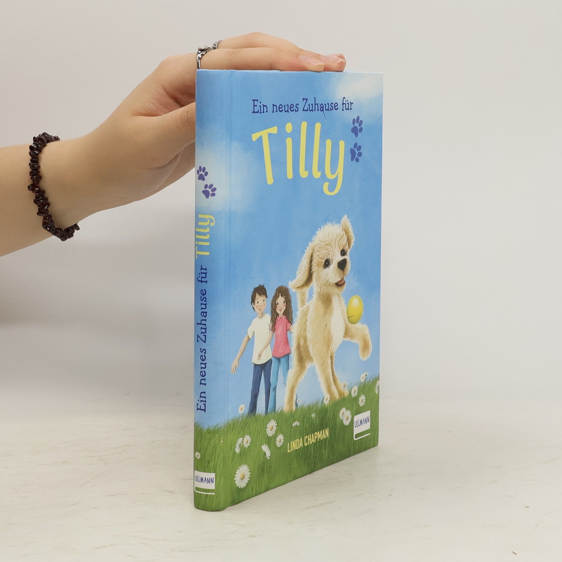 Linda Chapman Ein neues Zuhause für Tilly