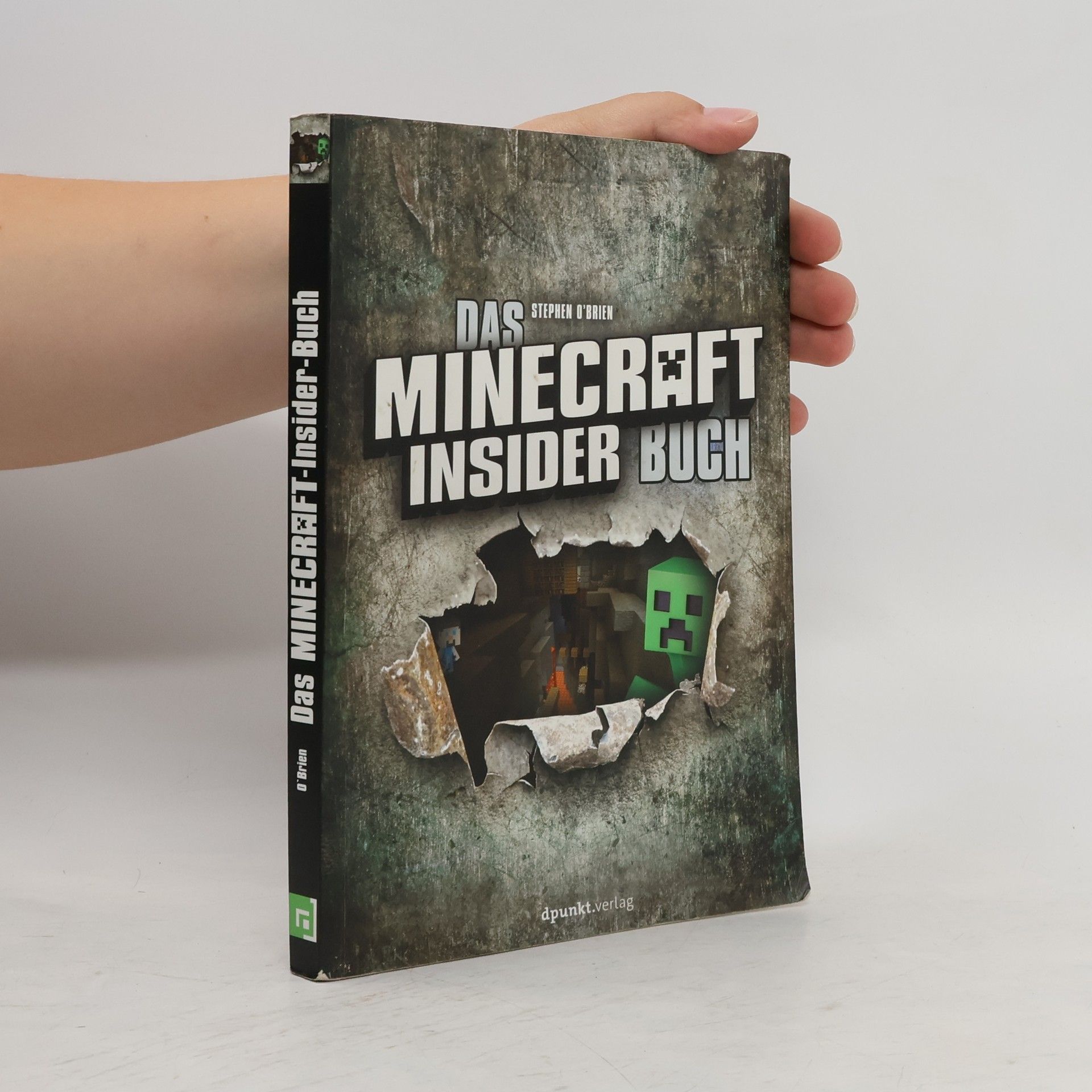 Stephen O. Brien Das Minecraft-Insider-Buch