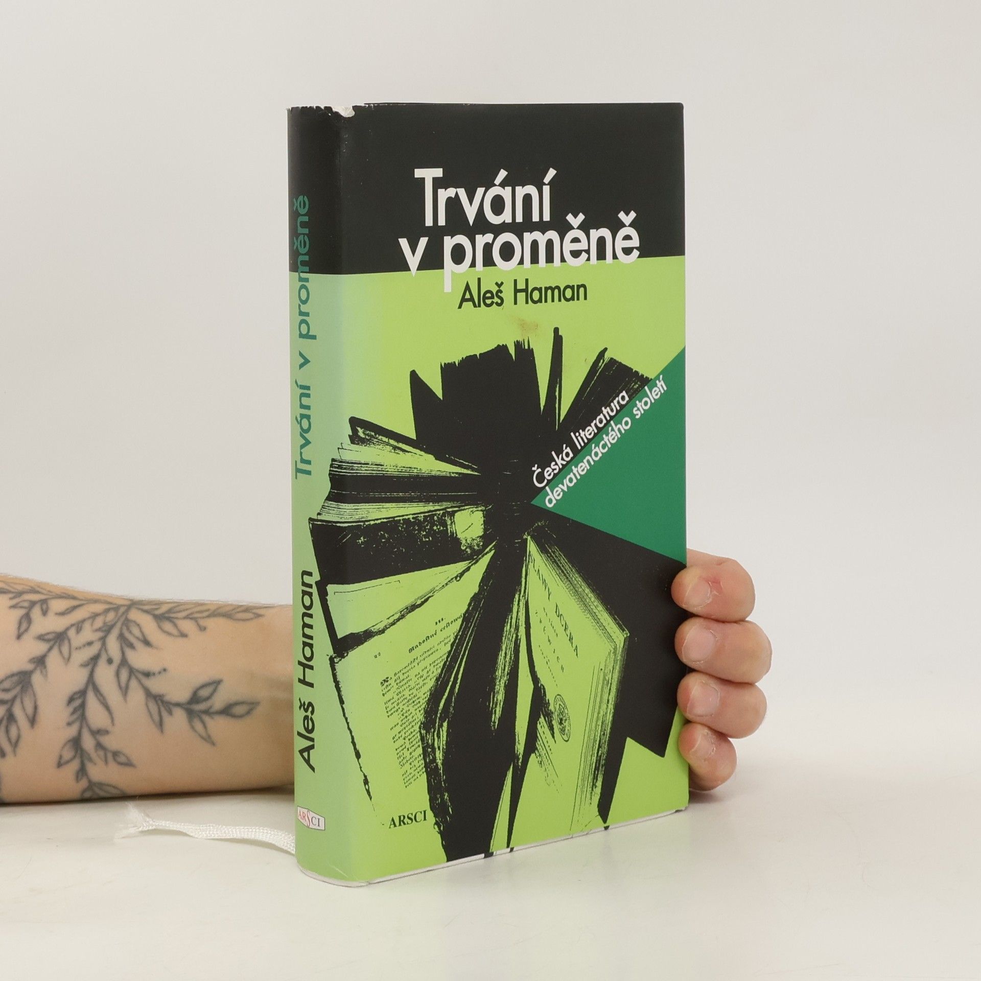 Aleš Haman Trvání v proměně : česká literatura devatenáctého století