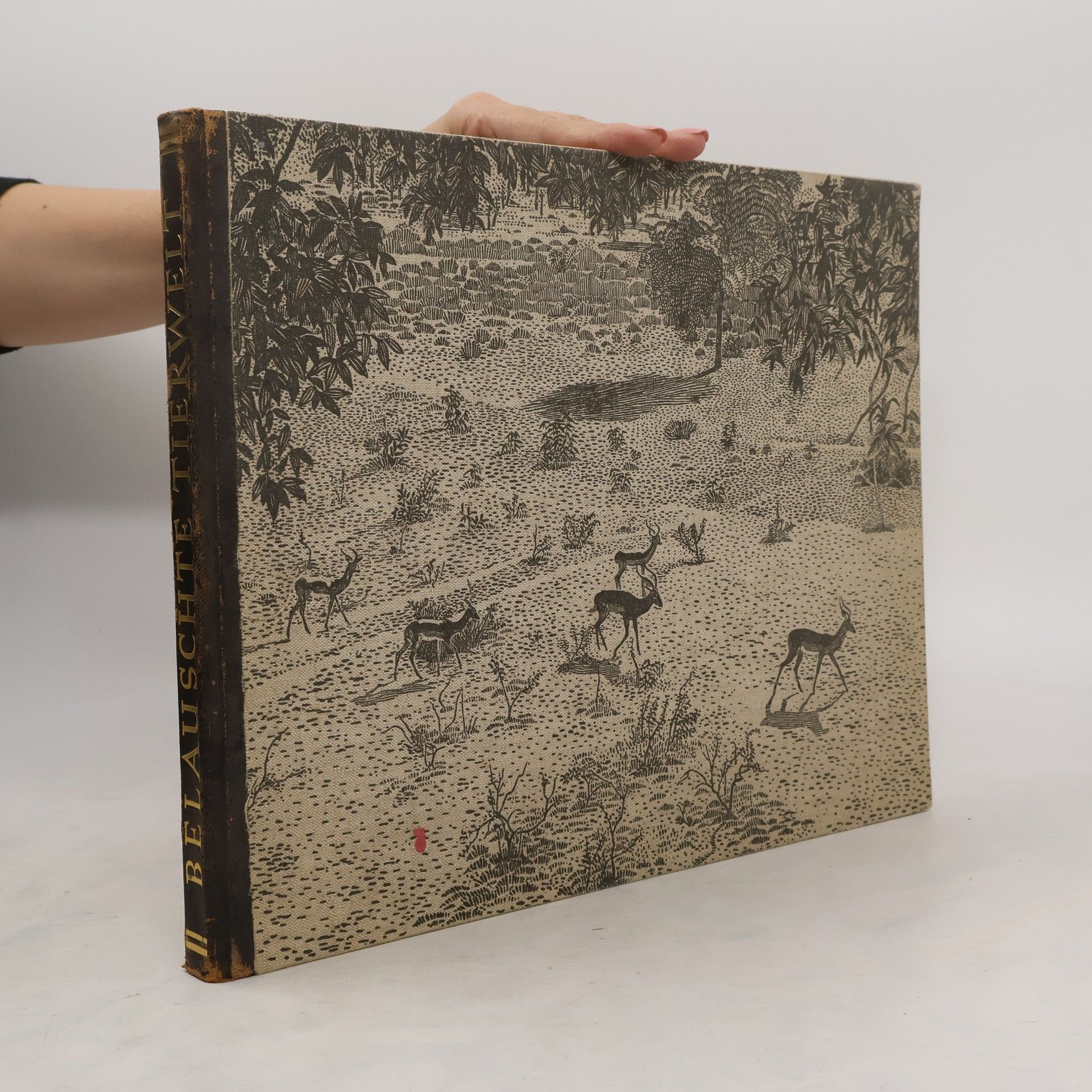 Autorenkollektiv Belauschte Tierwelt