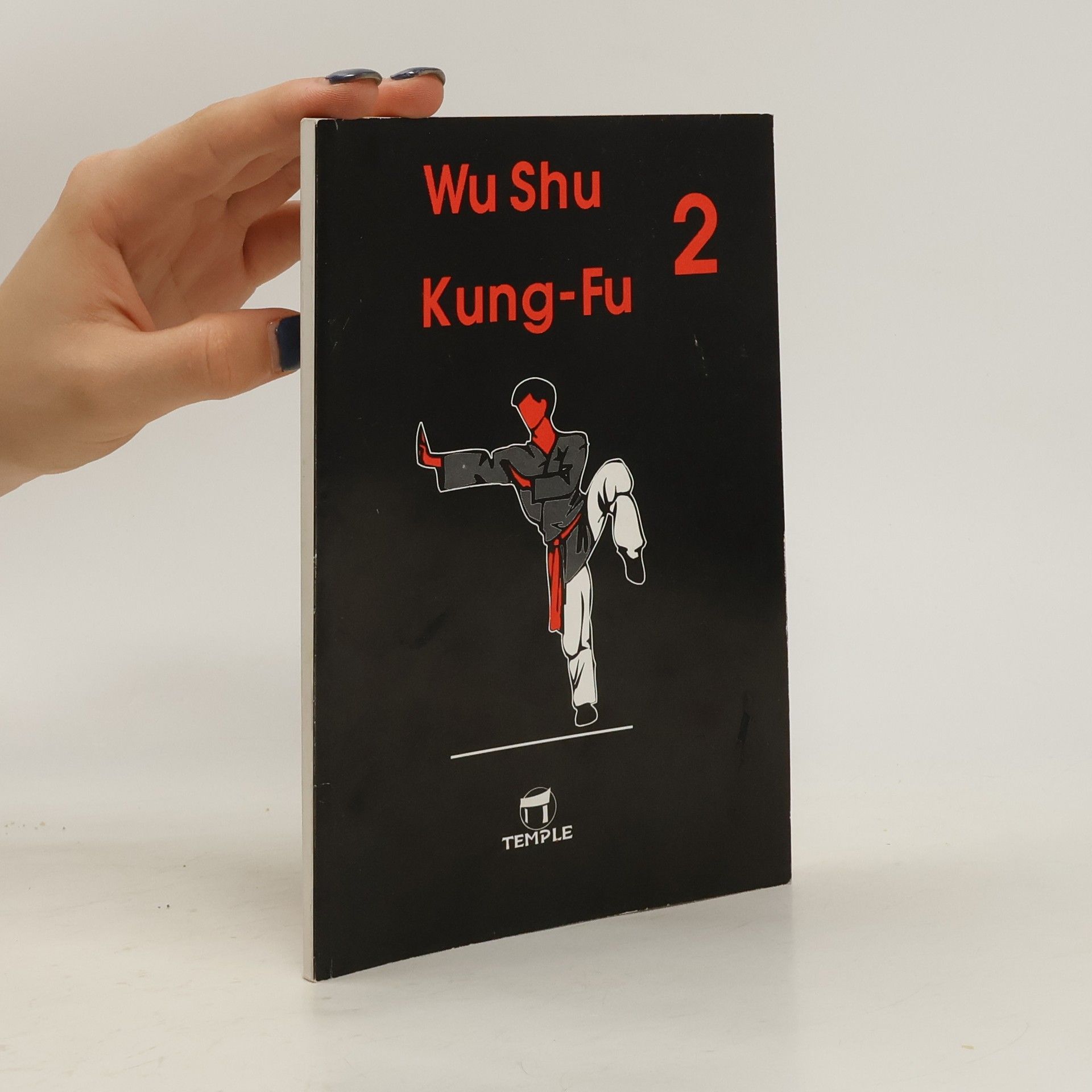 Zdeněk Kurfürst Wu Shu Kung-Fu 2