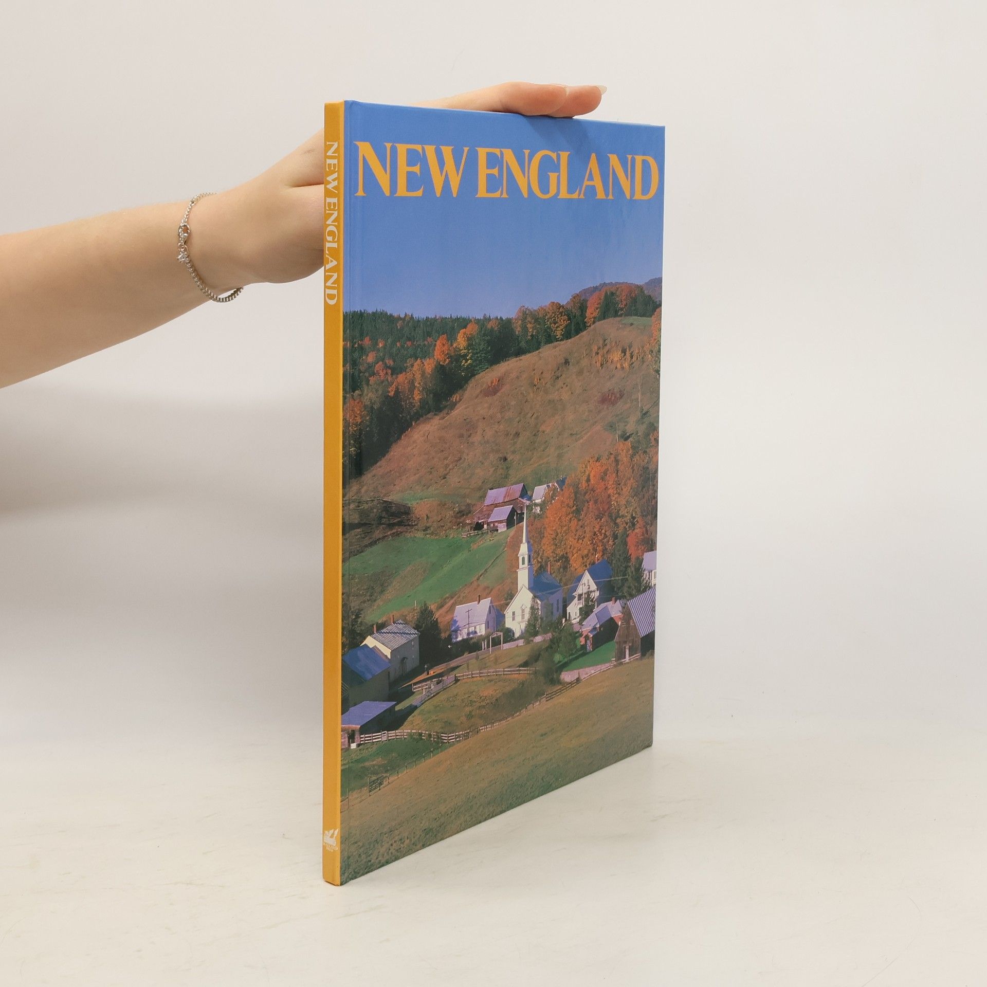 Kolektív autorov New England