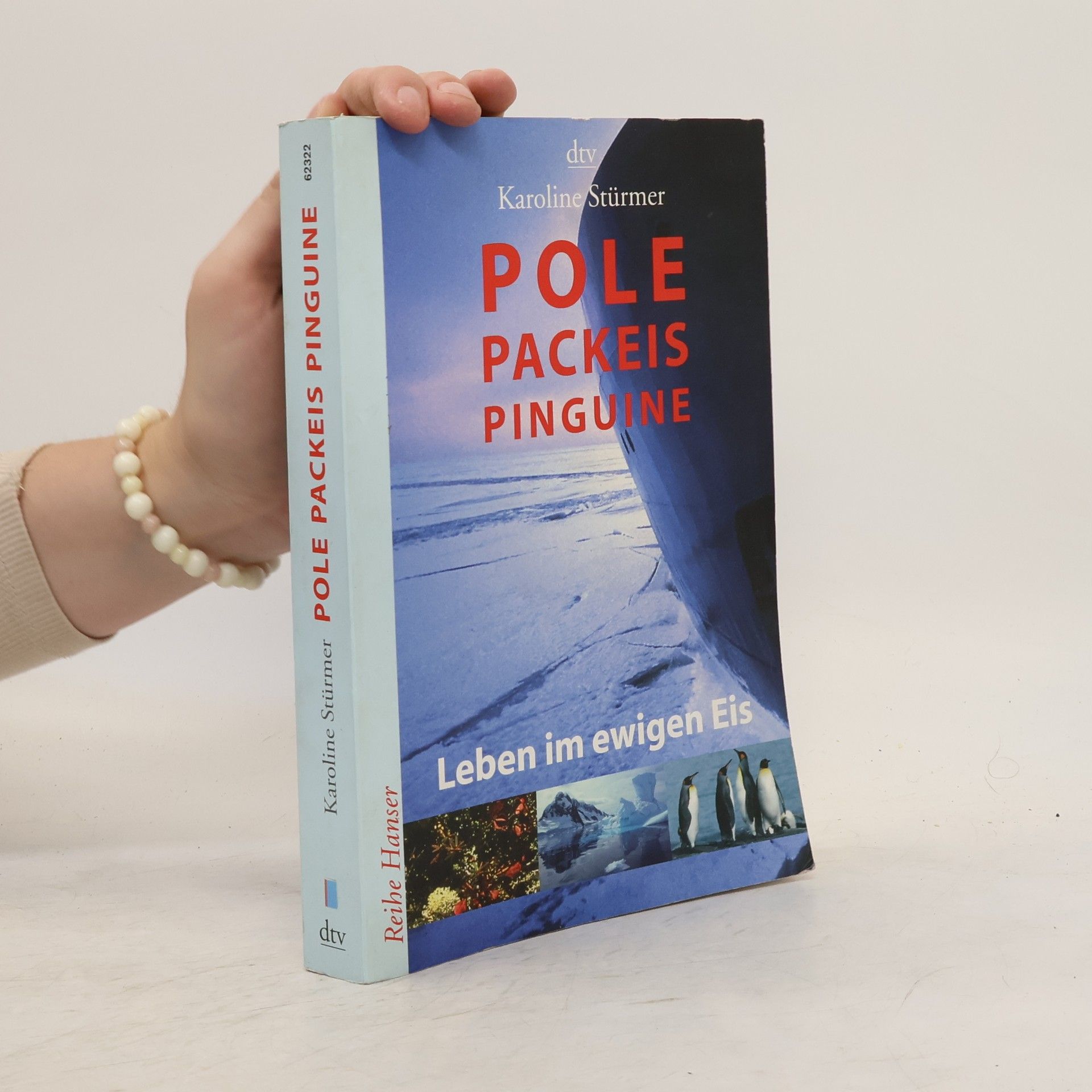 Karoline Stürmer Pole, Packeis, Pinguine