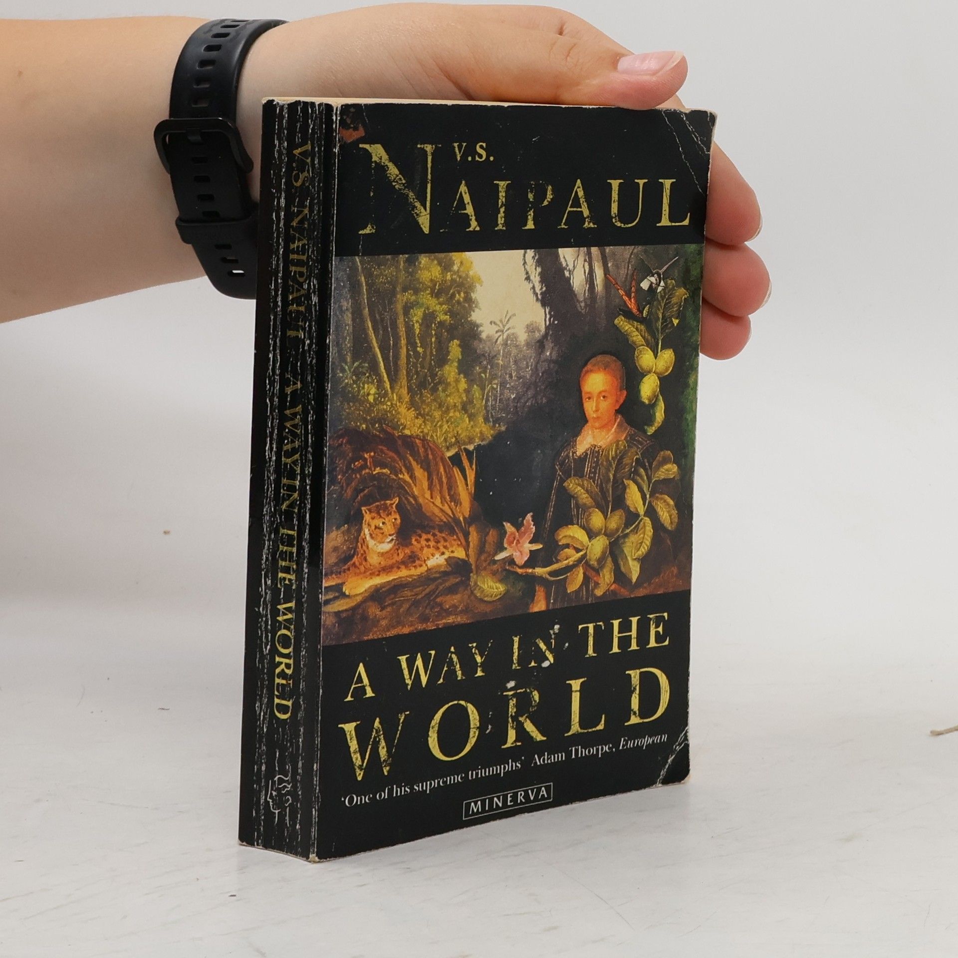V. S. Naipaul Way in the World 'a' Open Market
