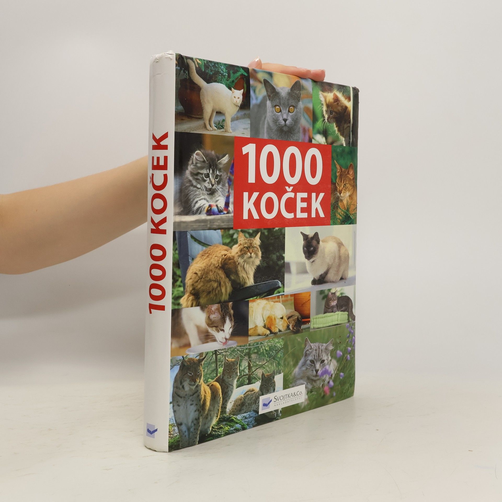 Kolektiv autorů 1000 koček