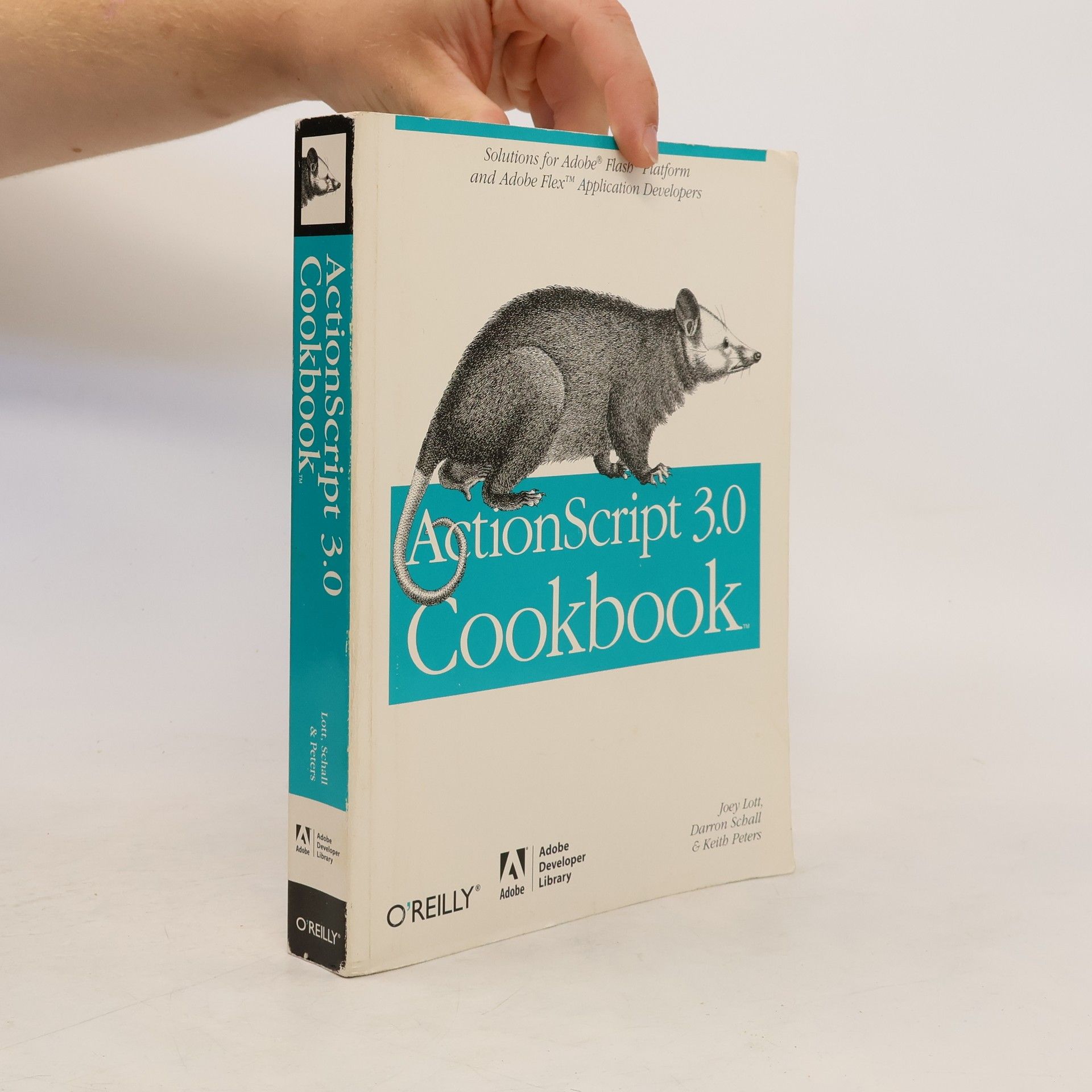Keith Peters ActionScript 3.0 Cookbook