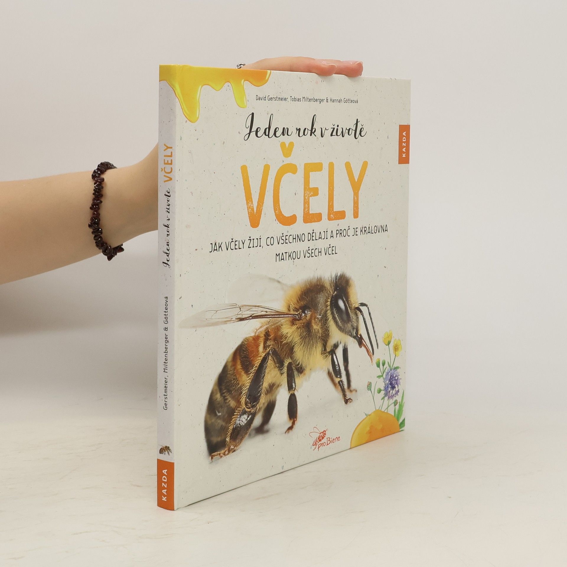 David Gerstmeier Jeden rok v životě včely