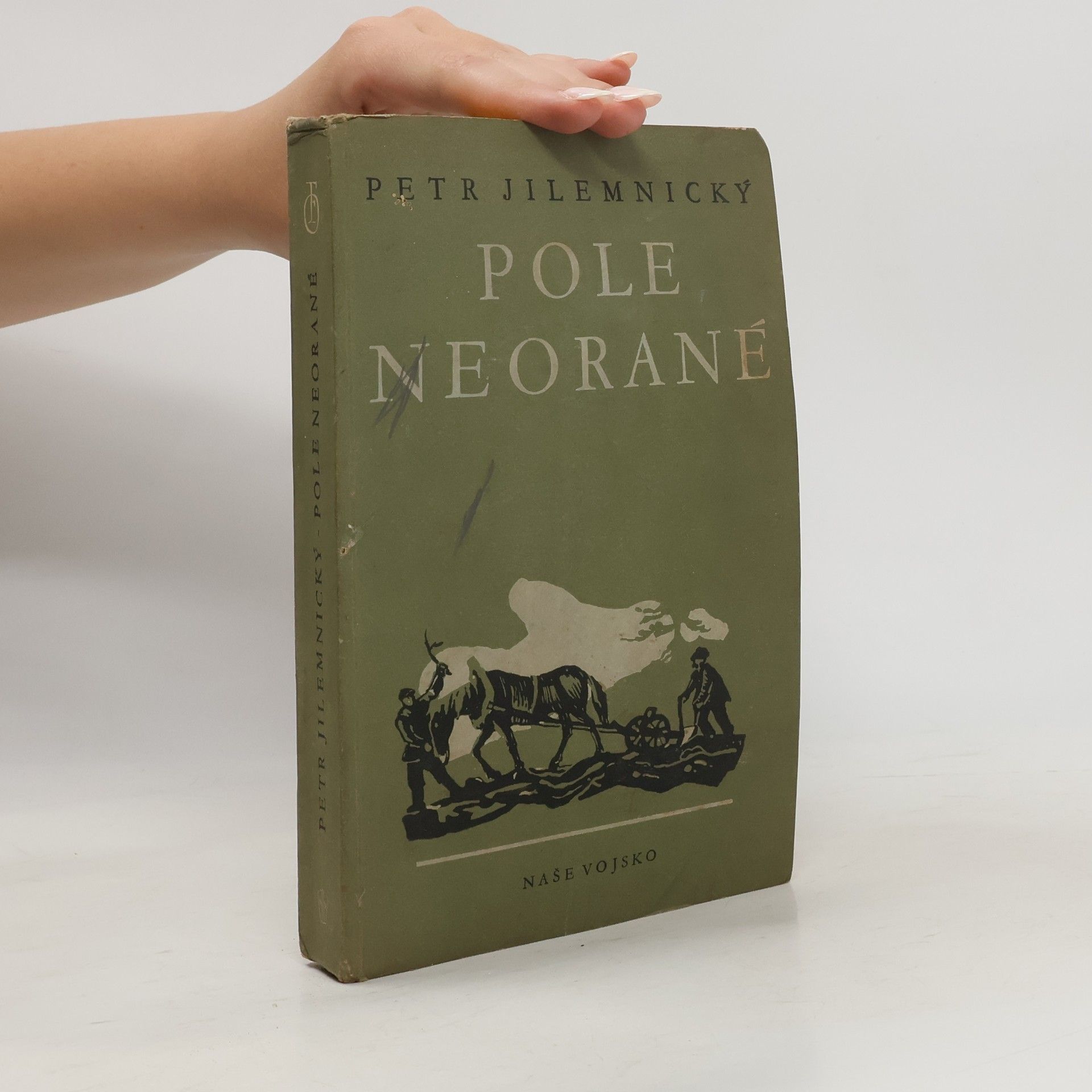 Jilemnický Petr Pole neorané