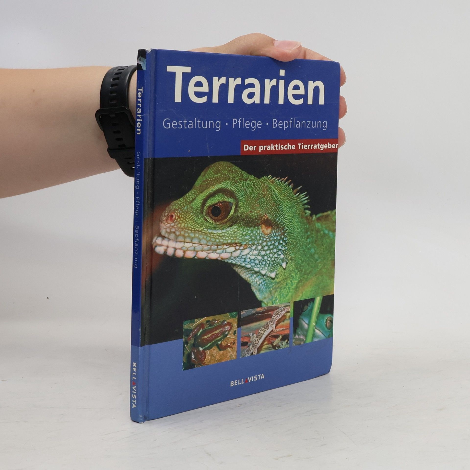 Kolektiv autorů Der praktische Tierratgeber: Terrarien