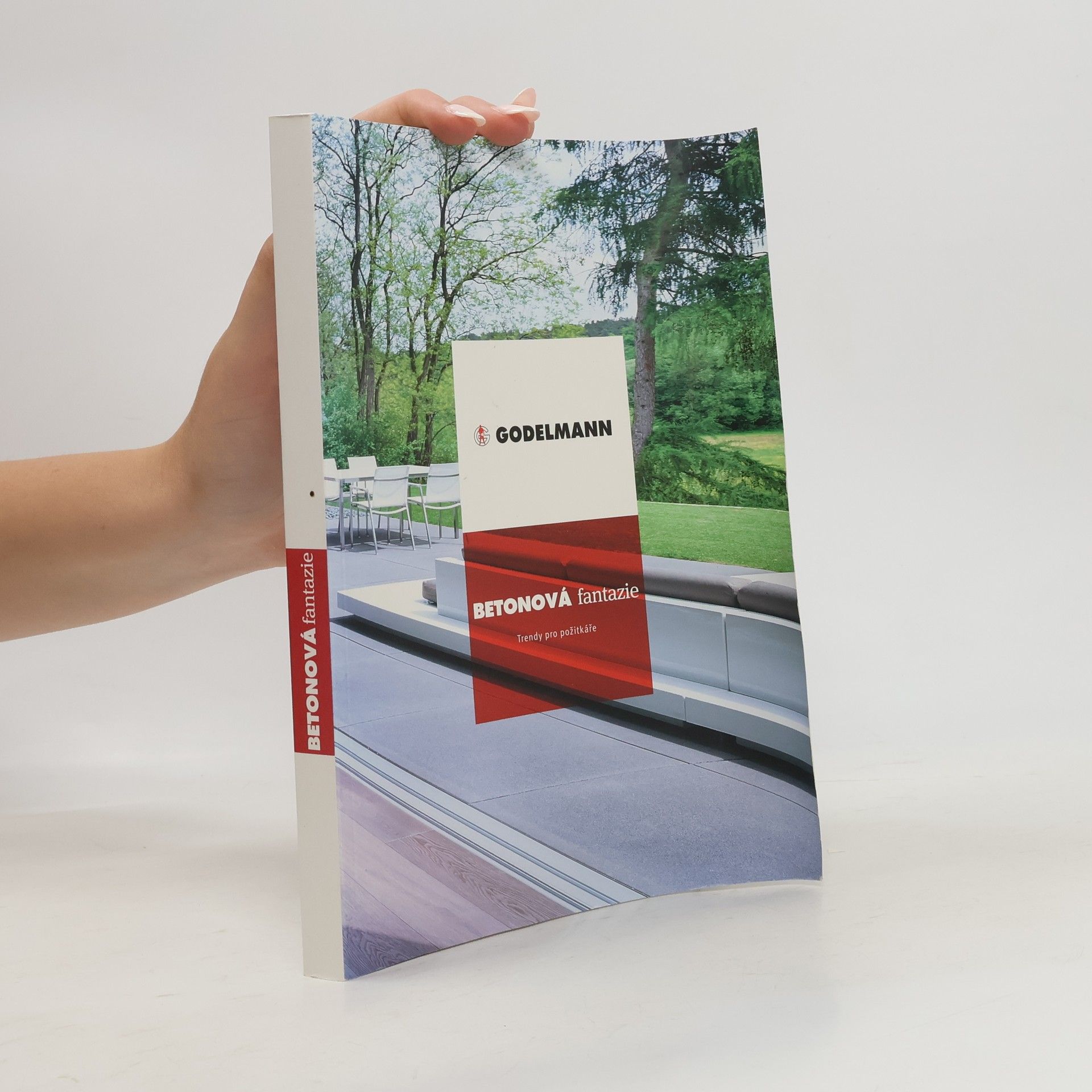 Autores varios Betonová fantazie