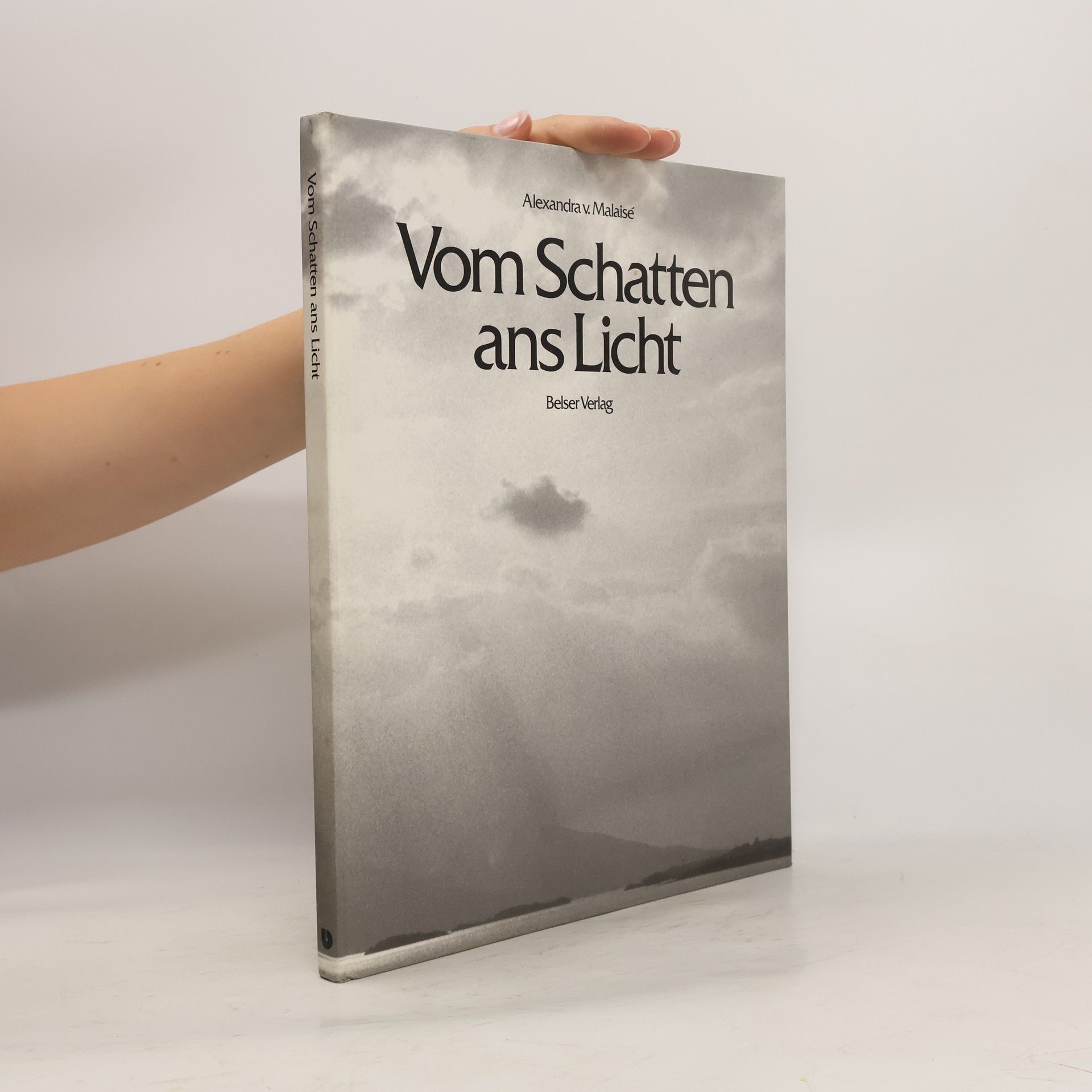 Alexandra von Malaise Vom Schatten ans Licht