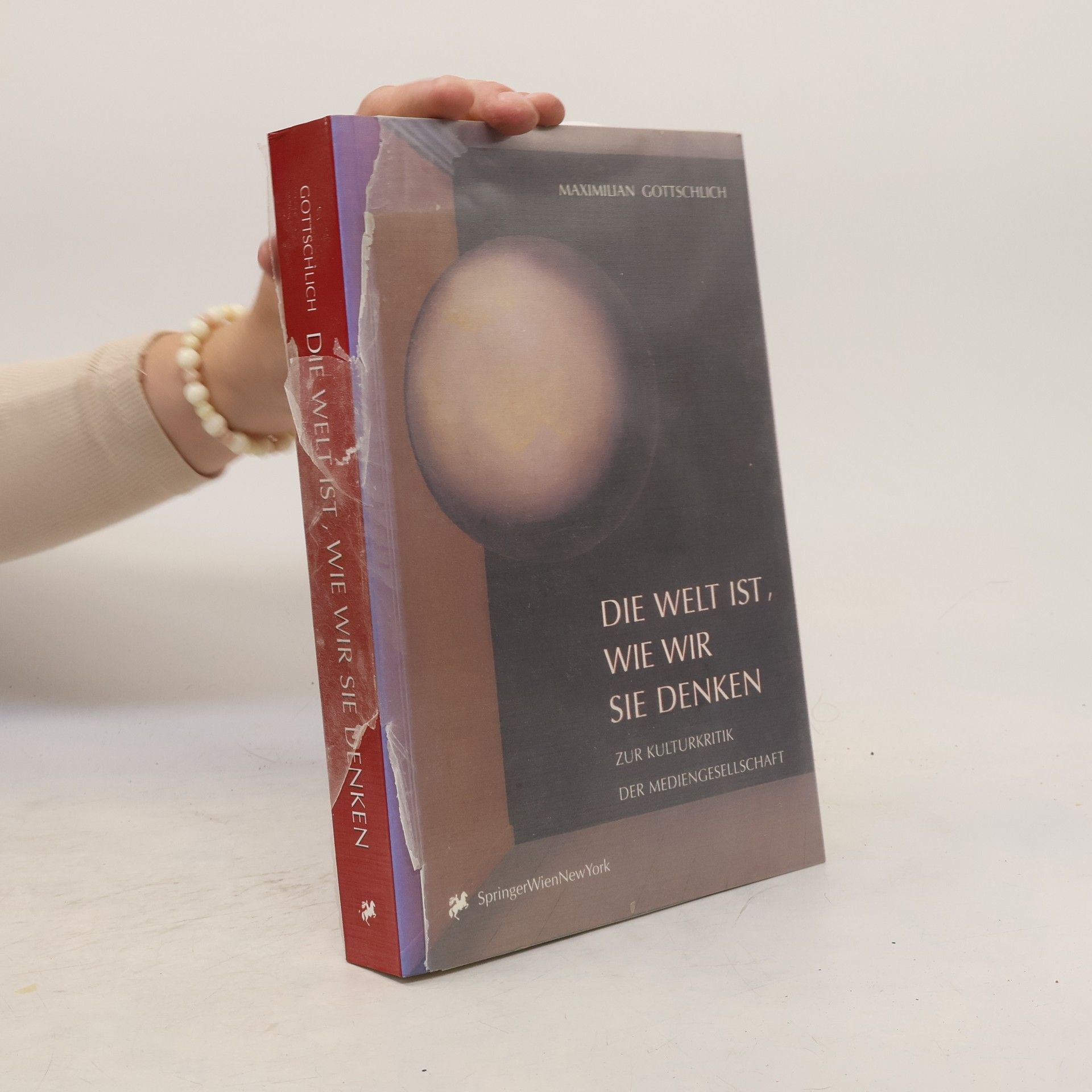 Maximilian Gottschlich Die Welt ist, wie wir sie denken