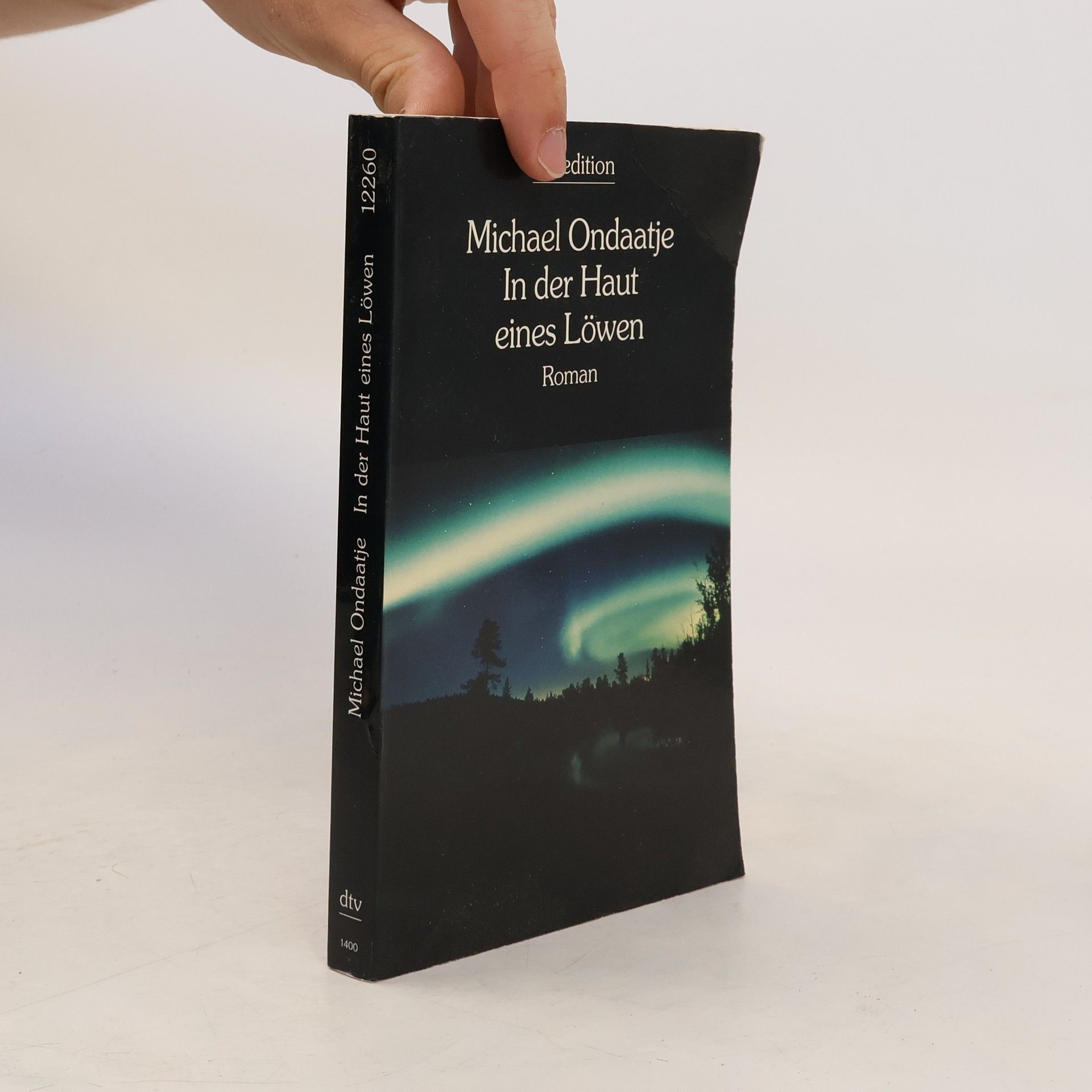 Michael Ondaatje In der Haut eines Löwen
