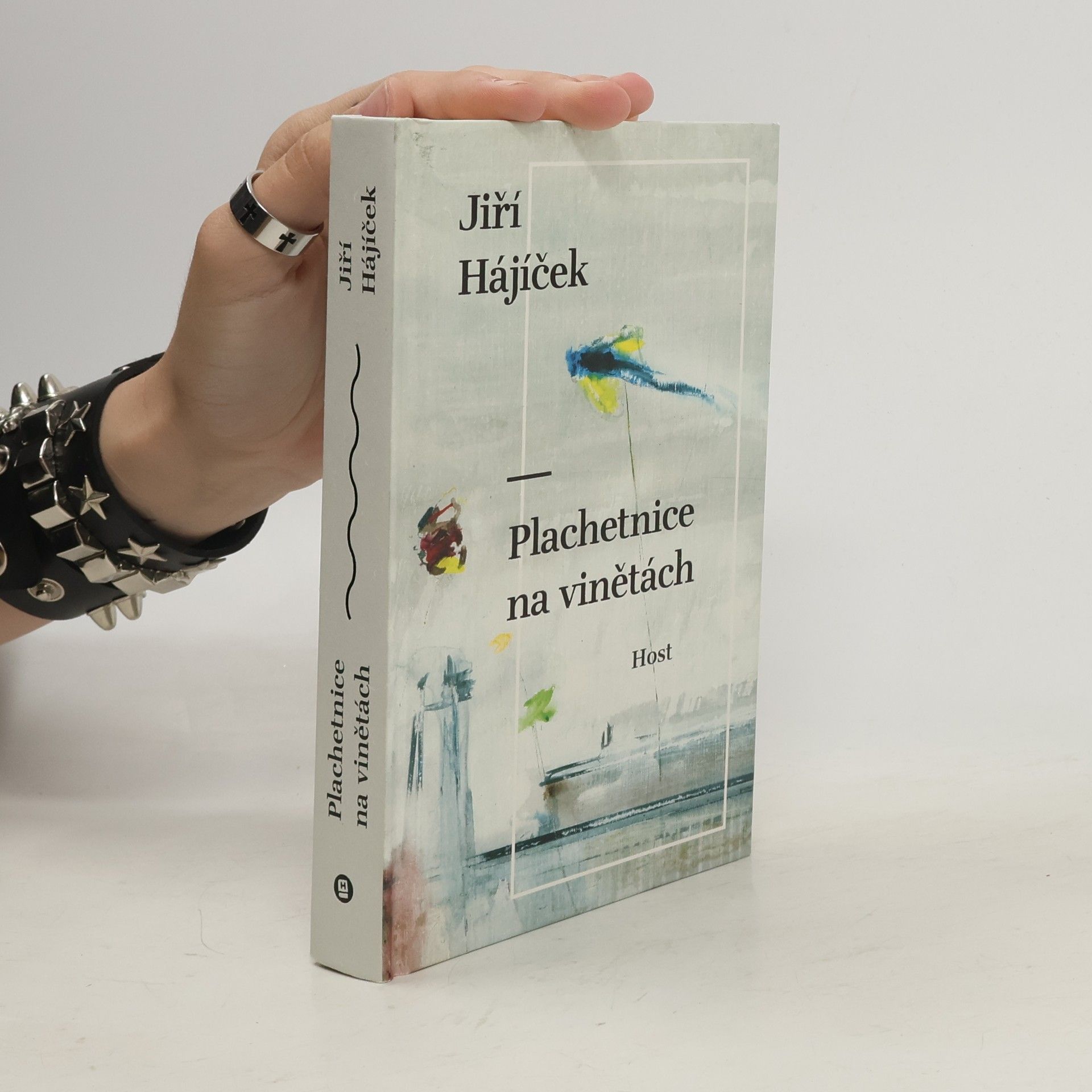 Jiří Hájíček Plachetnice na vinětách