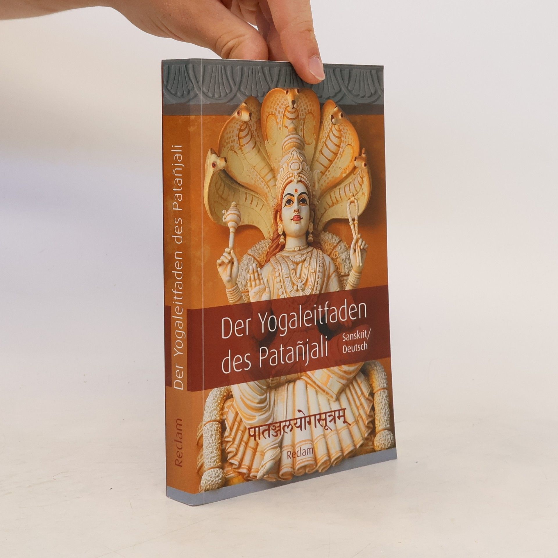 Patanjali Der Yogaleitfaden des Patañjali