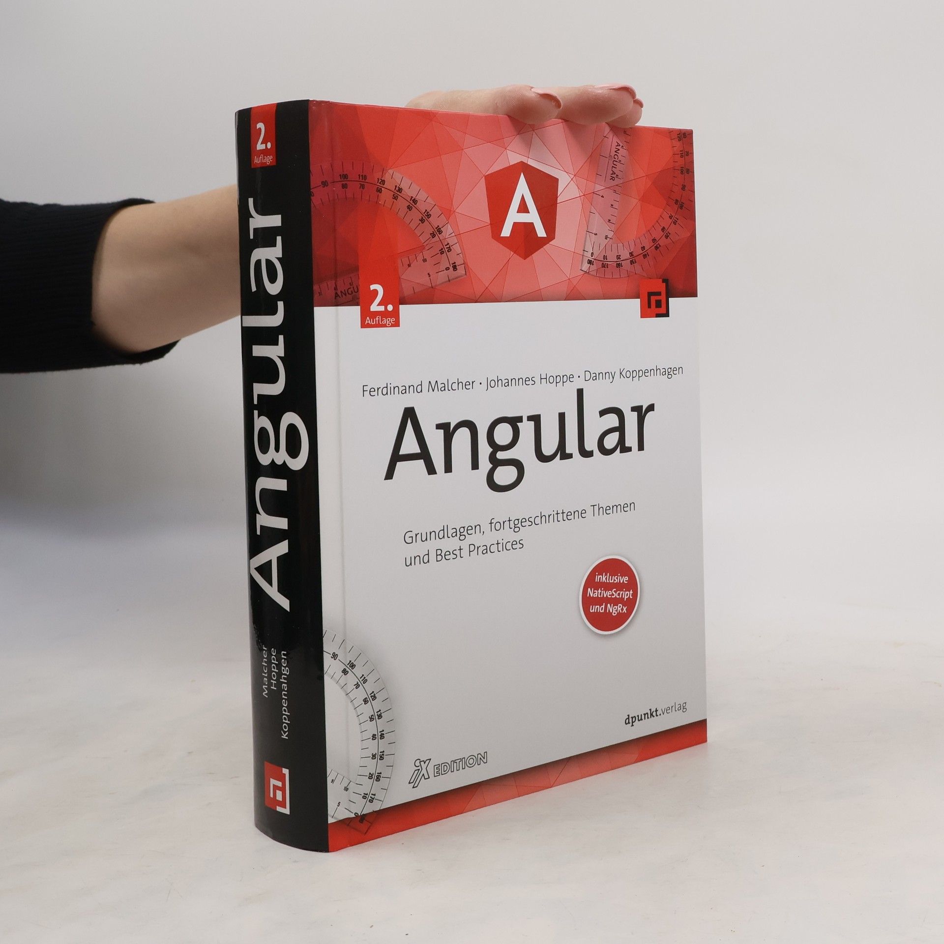 Ferdinand Malcher Angular