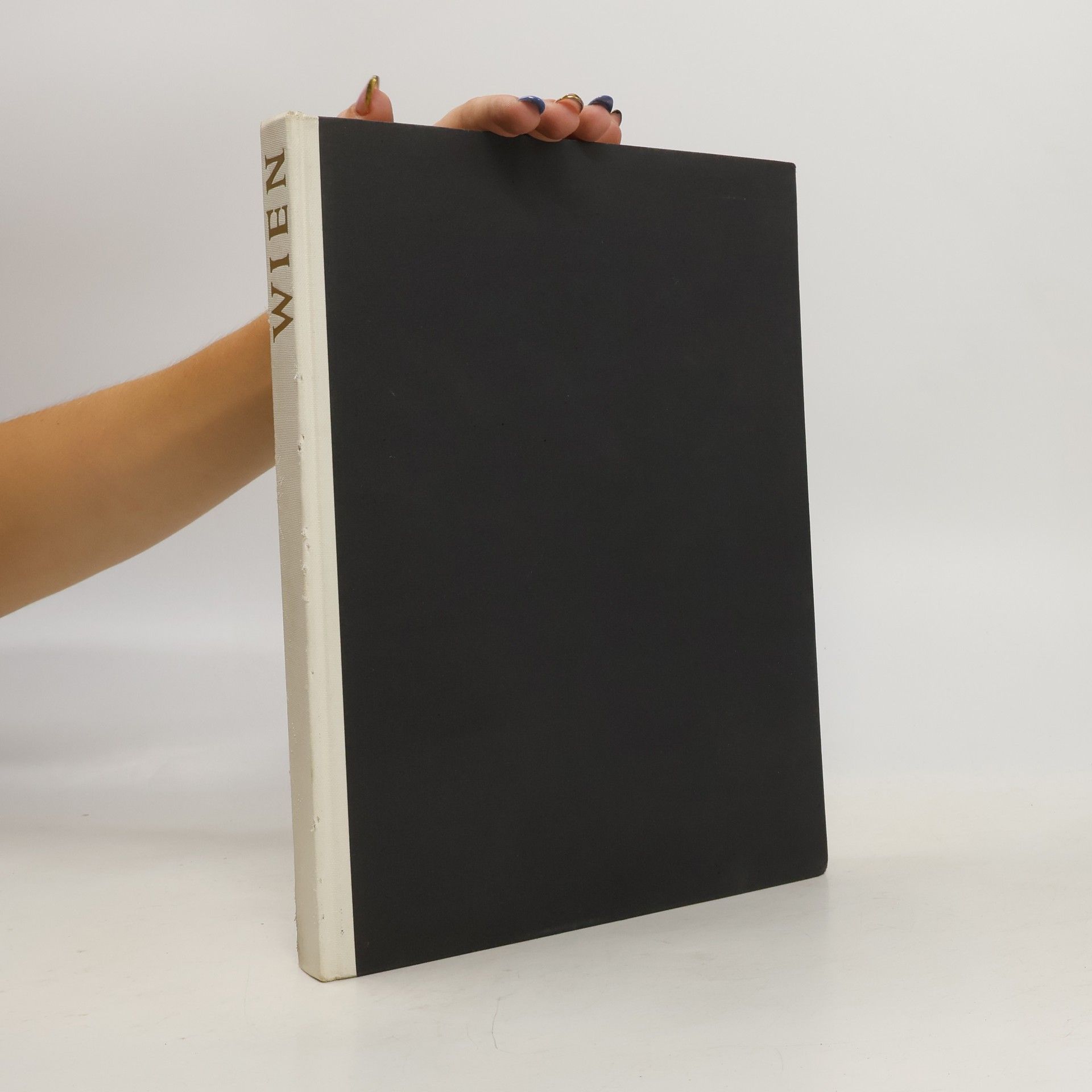 Collectif d'auteurs Wien