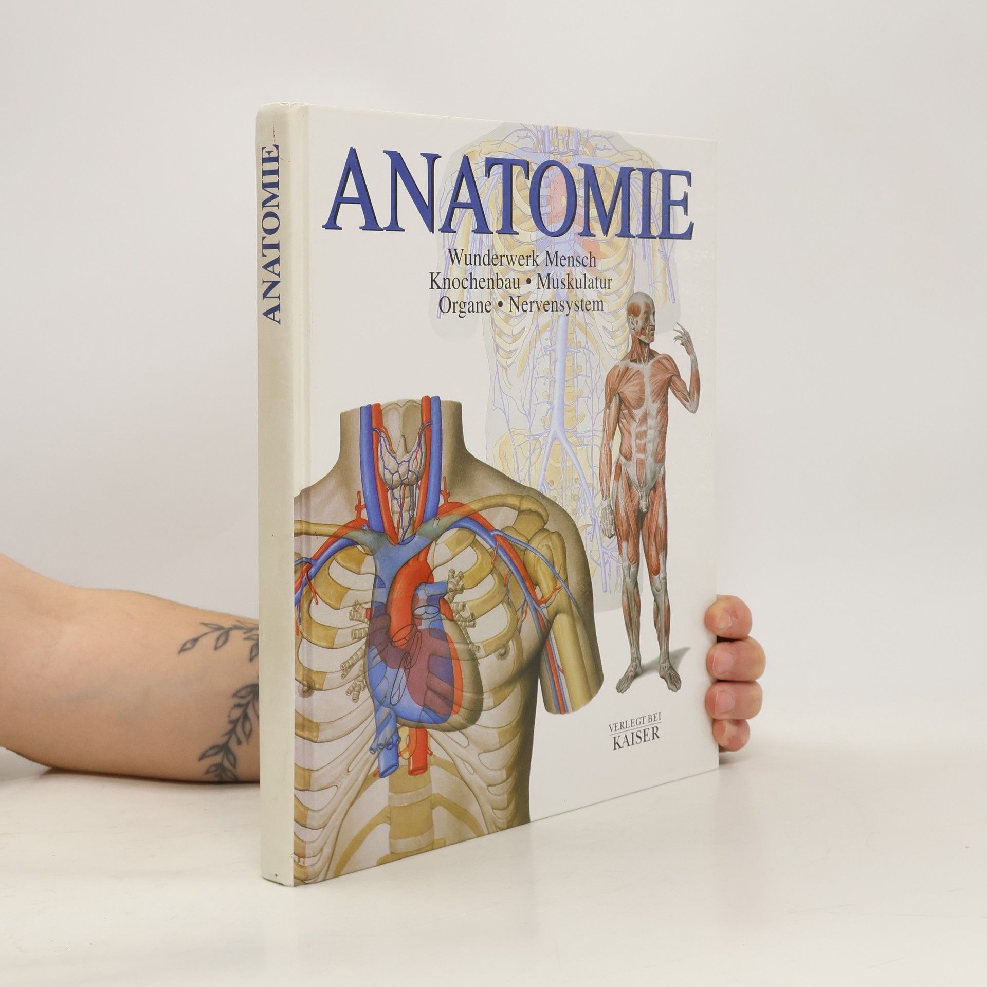 Carmen Schöninger Anatomie