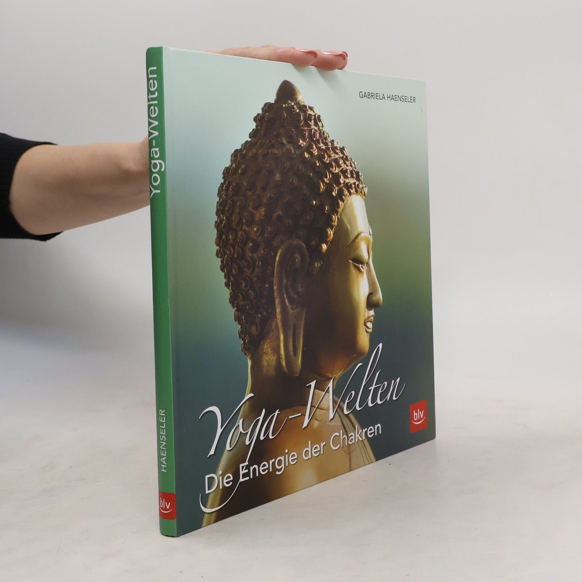 Gabriela Haenseler Yoga-Welten