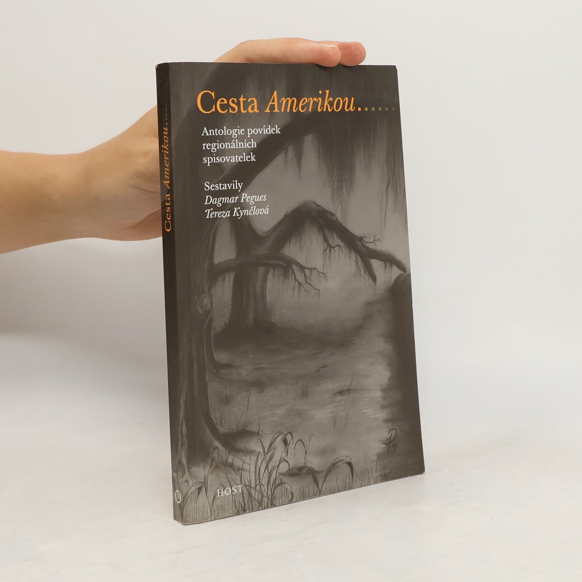 Dagmar Pegues Cesta Amerikou