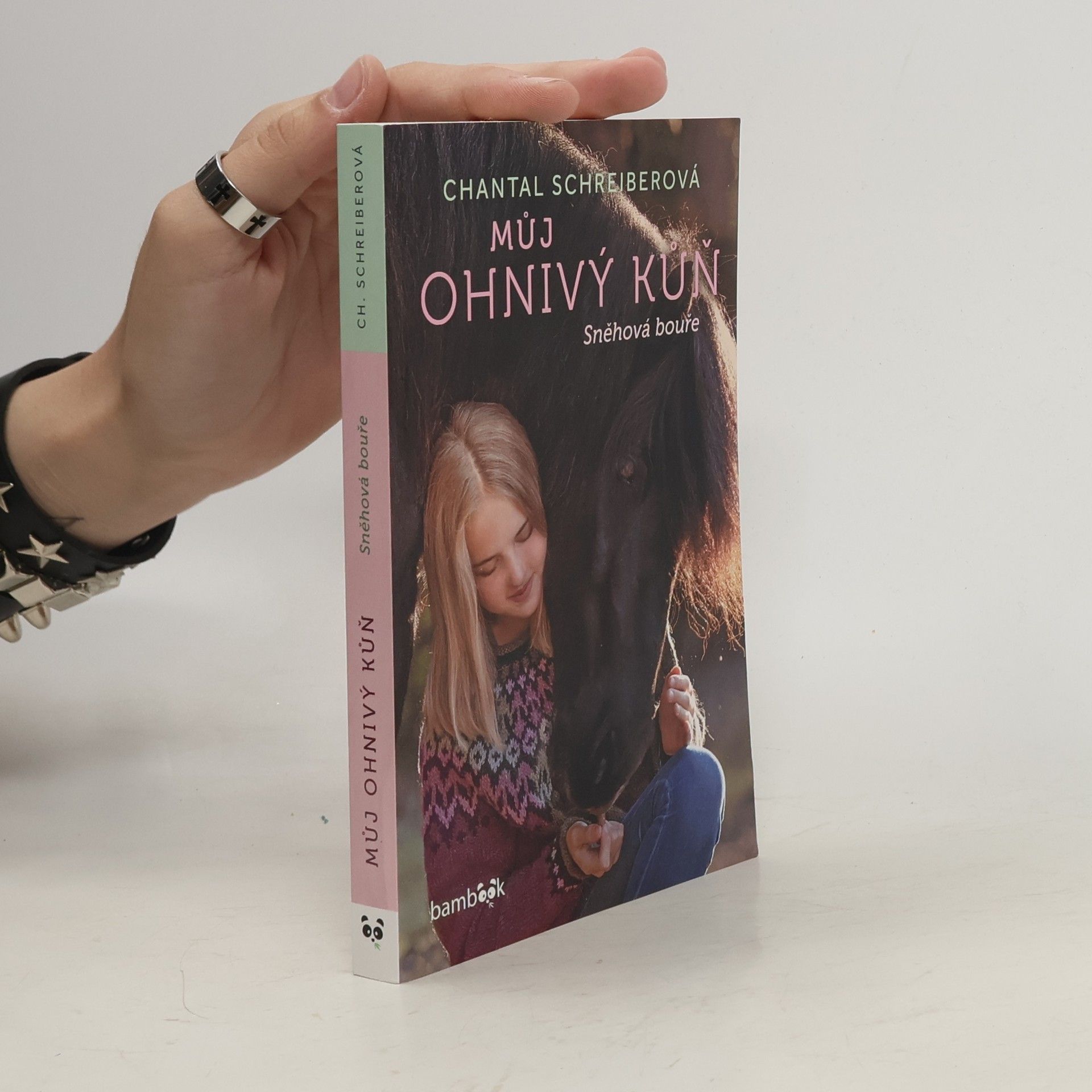 Eva Kadlecová Můj ohnivý kůň. Sněhová bouře