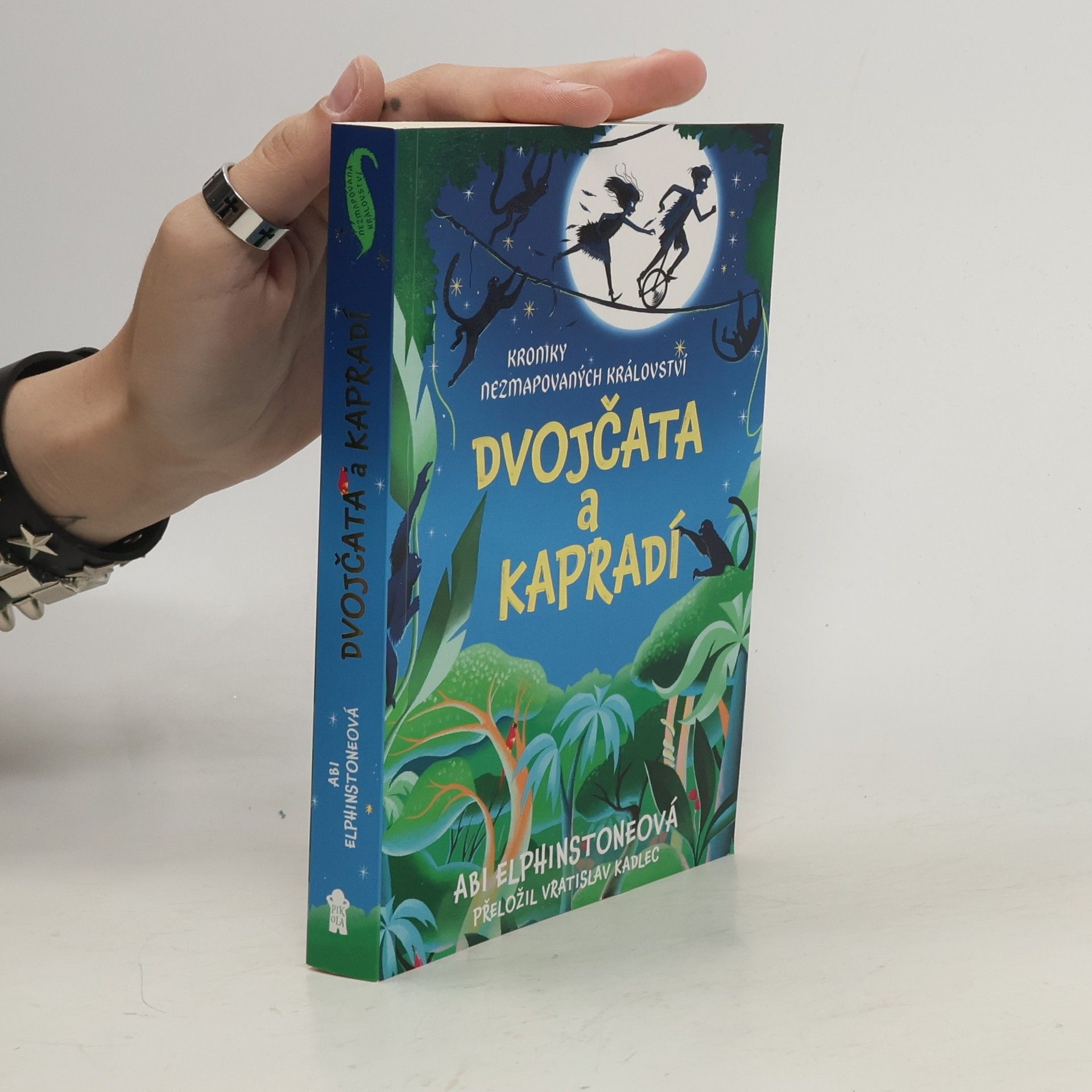 Vratislav Kadlec Kroniky Nezmapovaných království? Dvojčata a kapradí