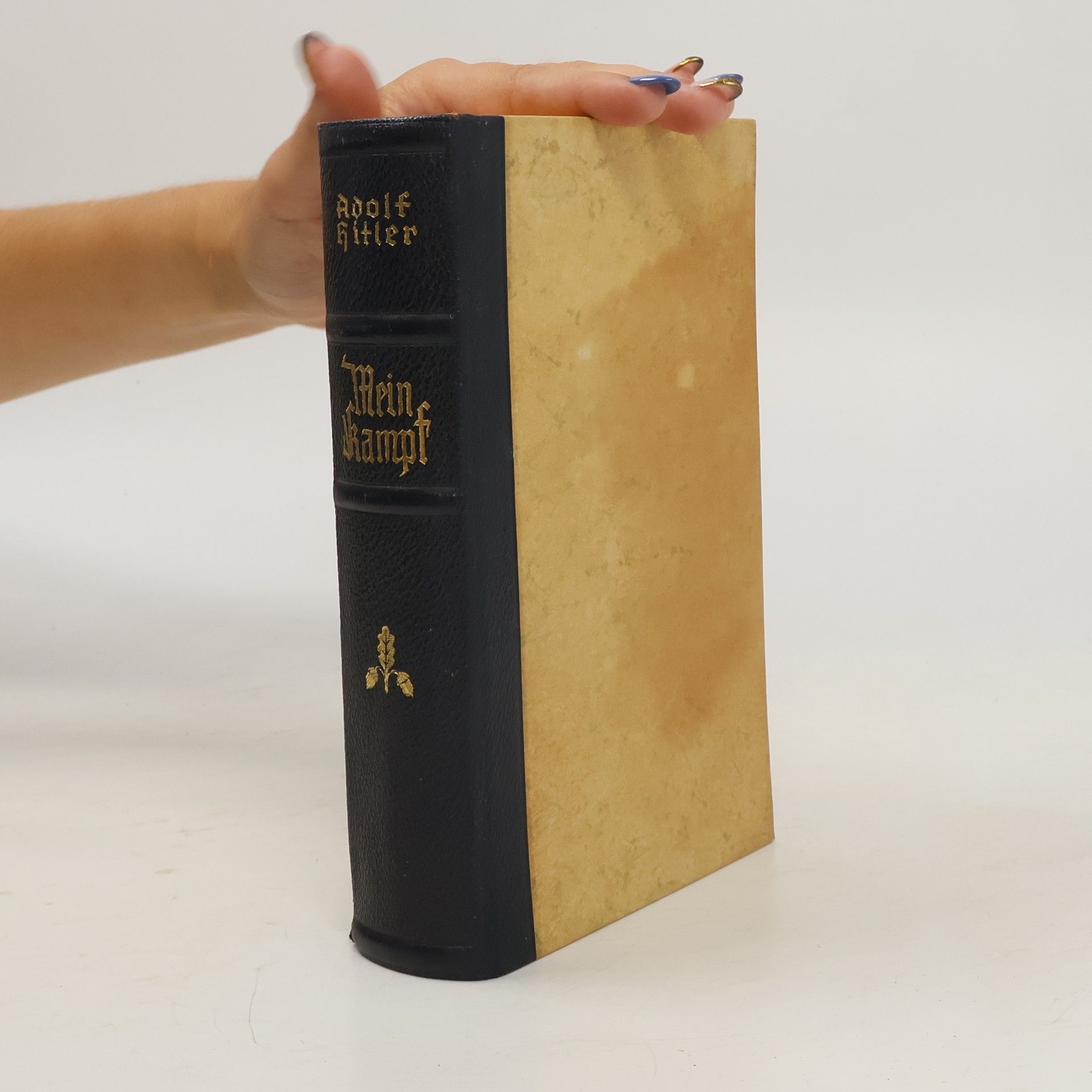 Adolf Hitler Mein Kampf