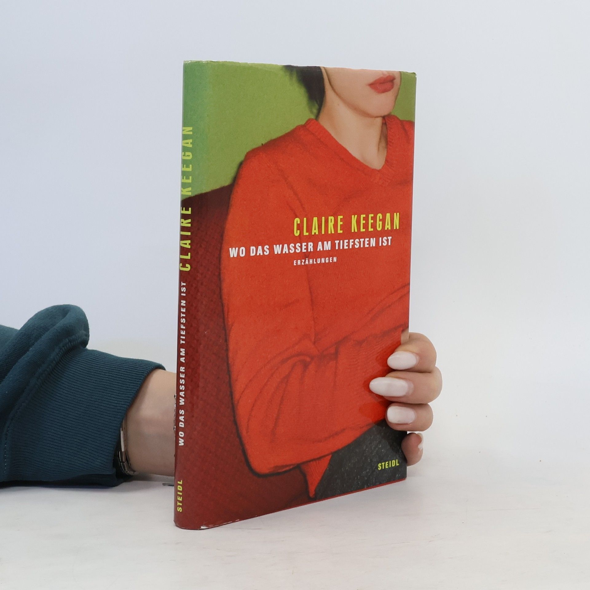 Claire Keegan Wo das Wasser am tiefsten ist