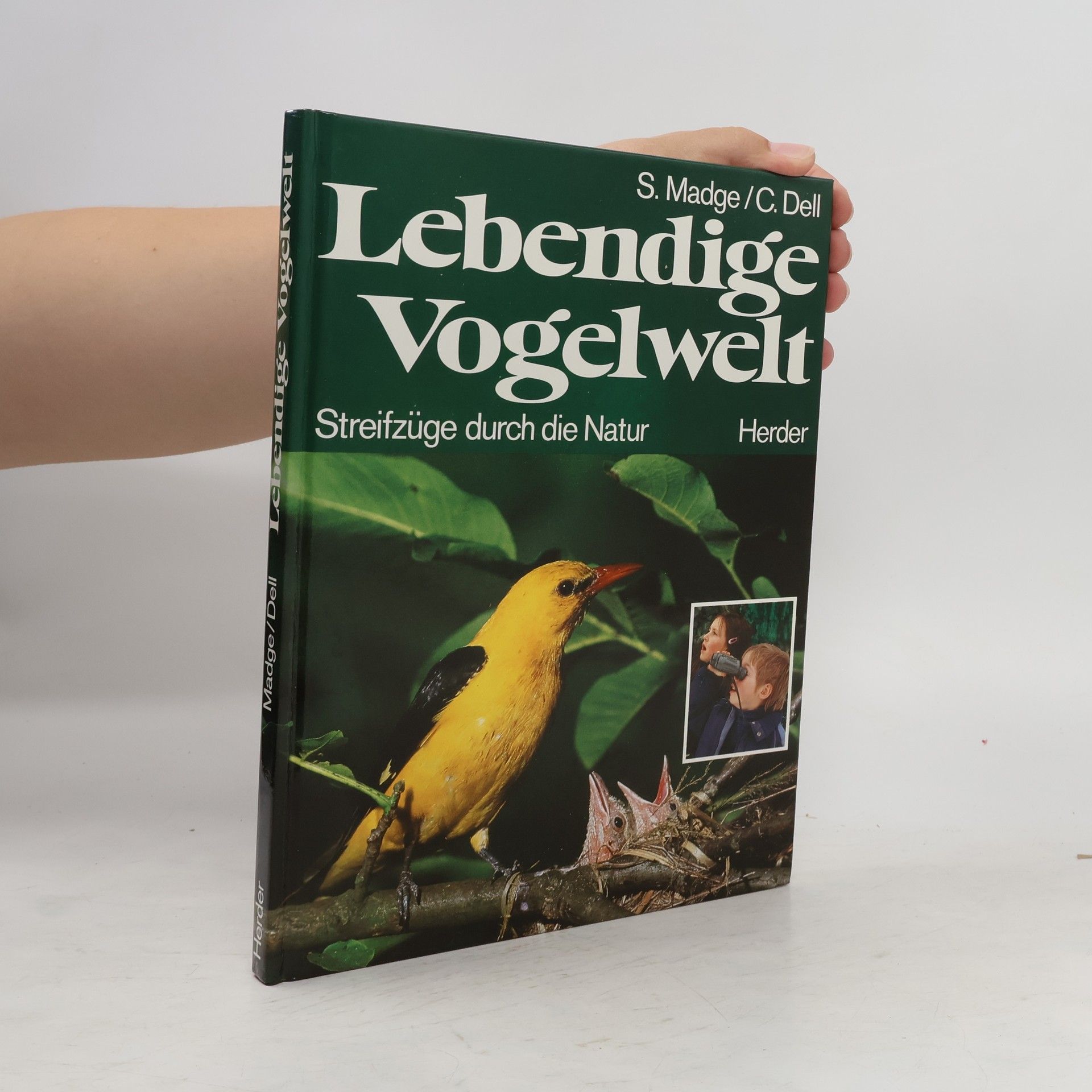 Steve Madge Lebendige Vogelwelt