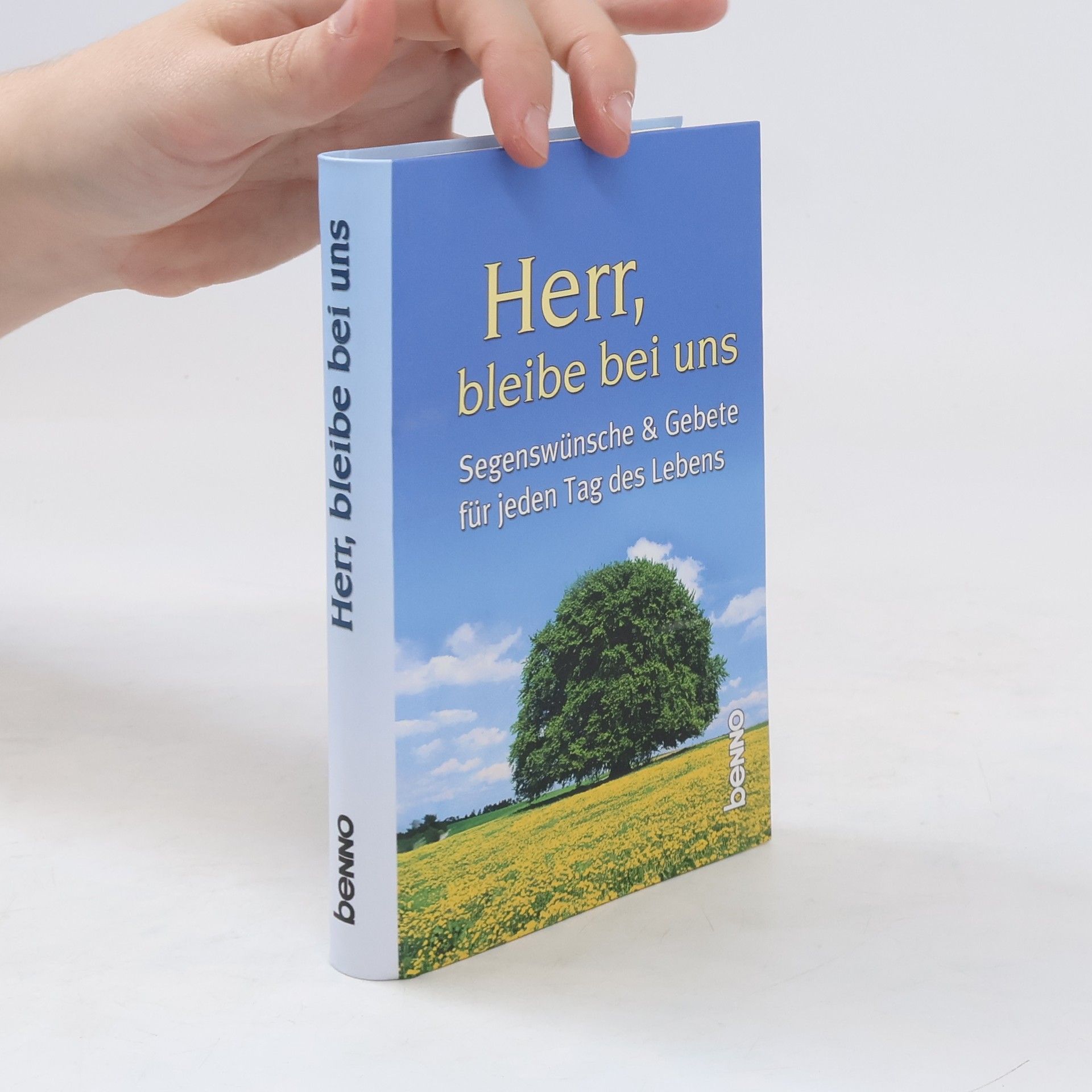 Annegret Kokschal Herr, bleibe bei uns