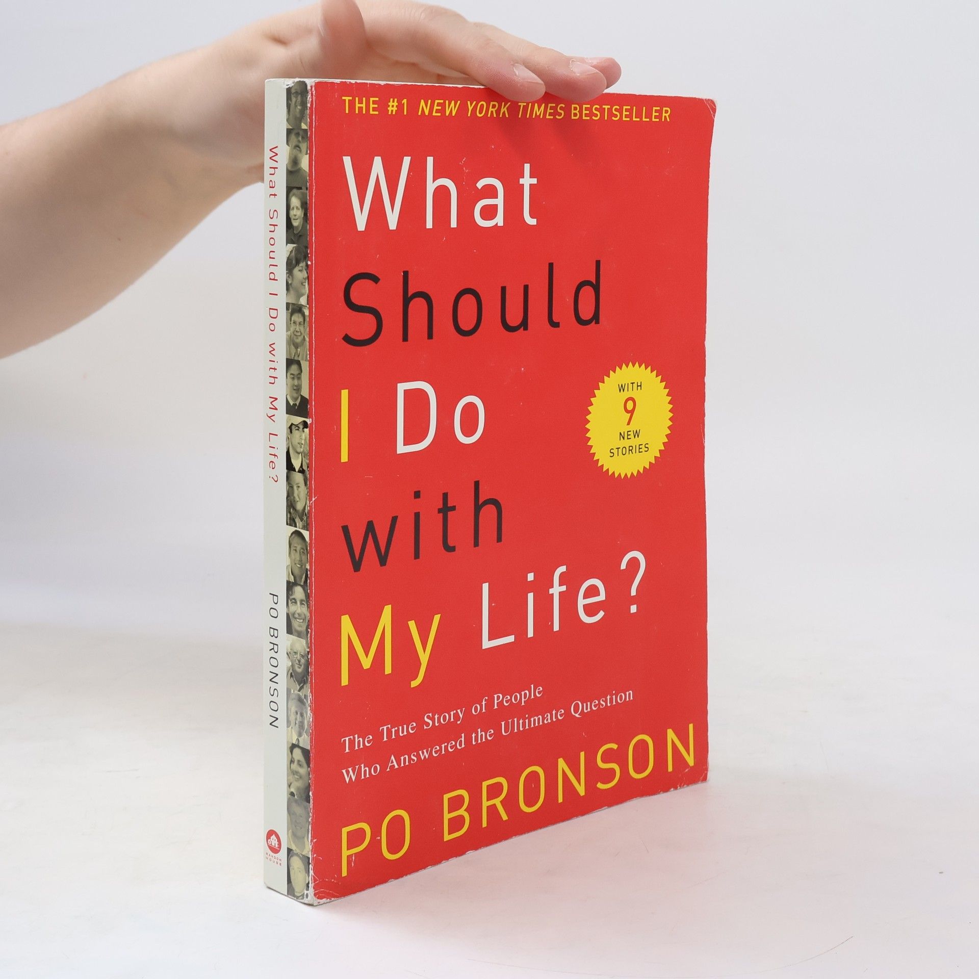Po Bronson What Should I Do with My Life?
