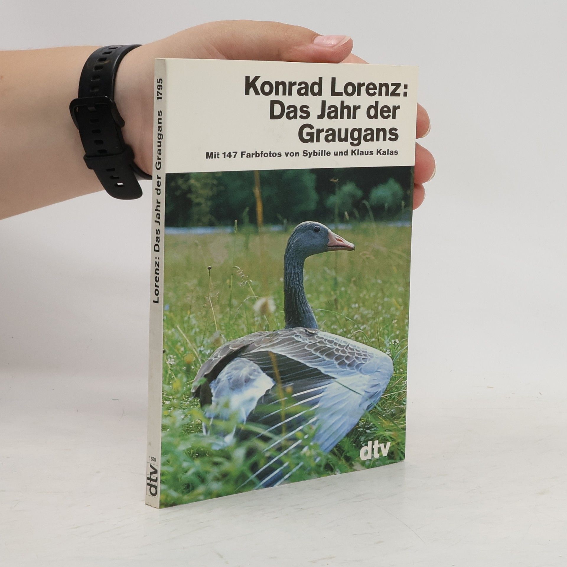 Konrad Lorenz Das Jahr der Graugans