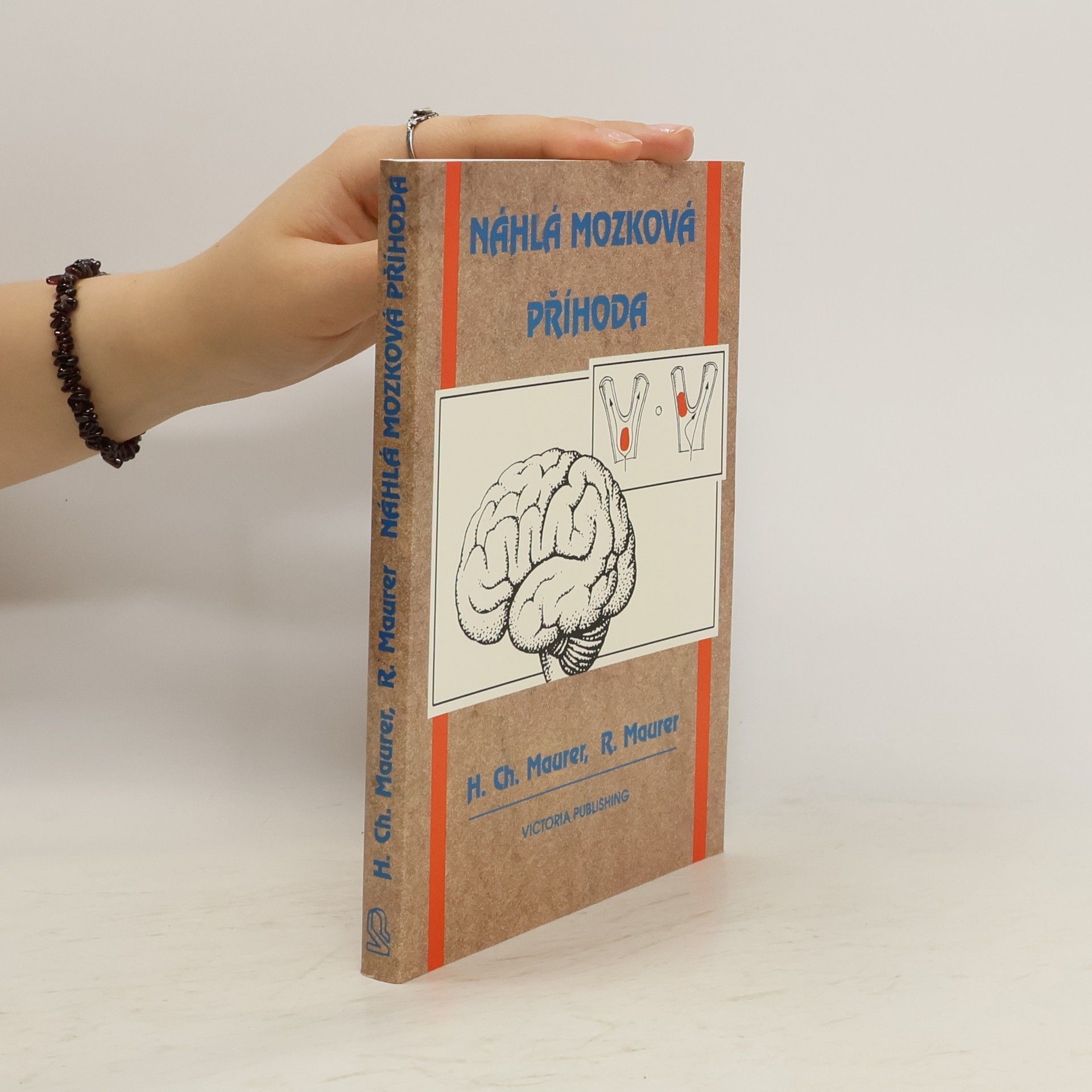 Horst Christian Mäurer Náhlá mozková příhoda