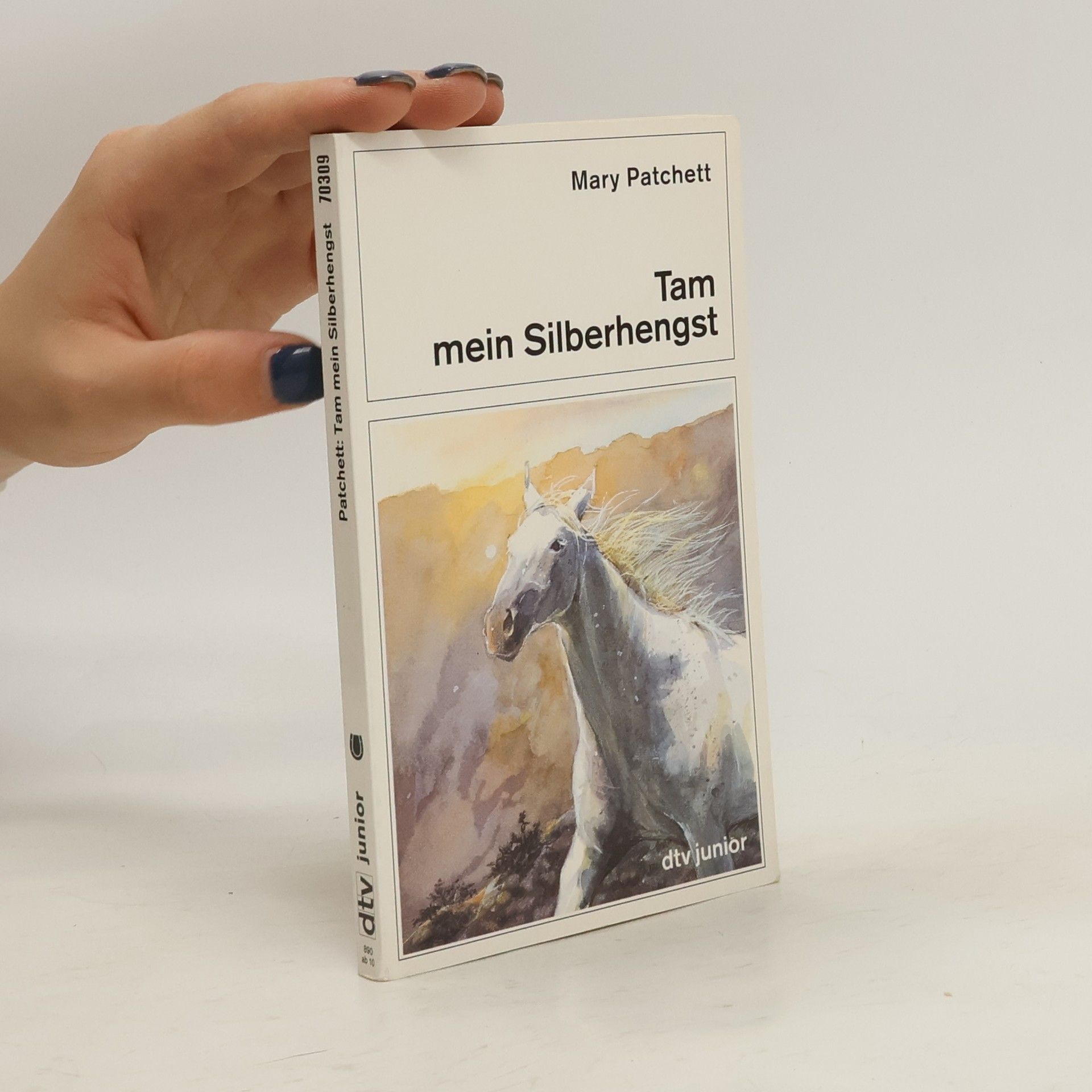 Walter Falke Tam mein Silberhengst