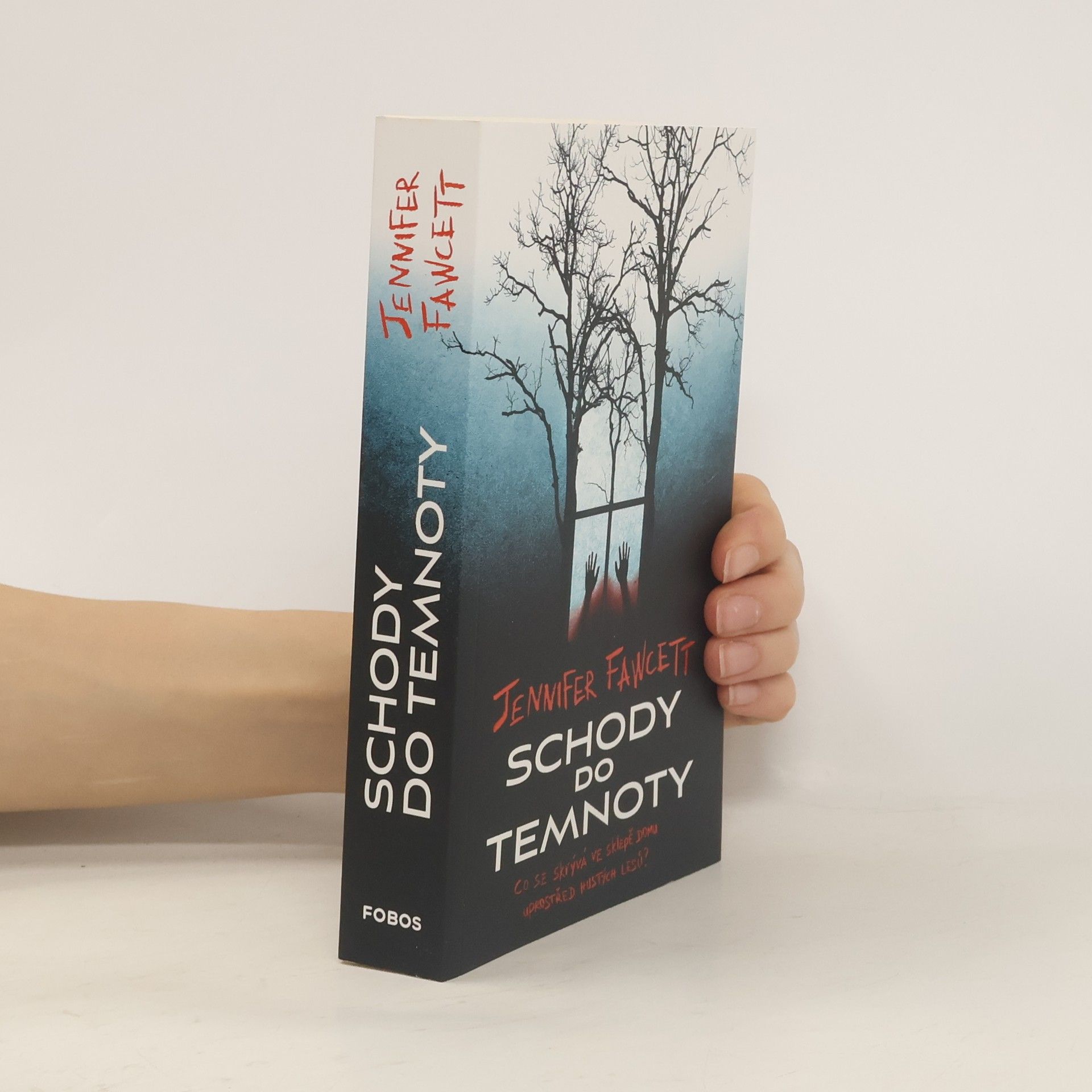 Jennifer Fawcett Schody do temnoty