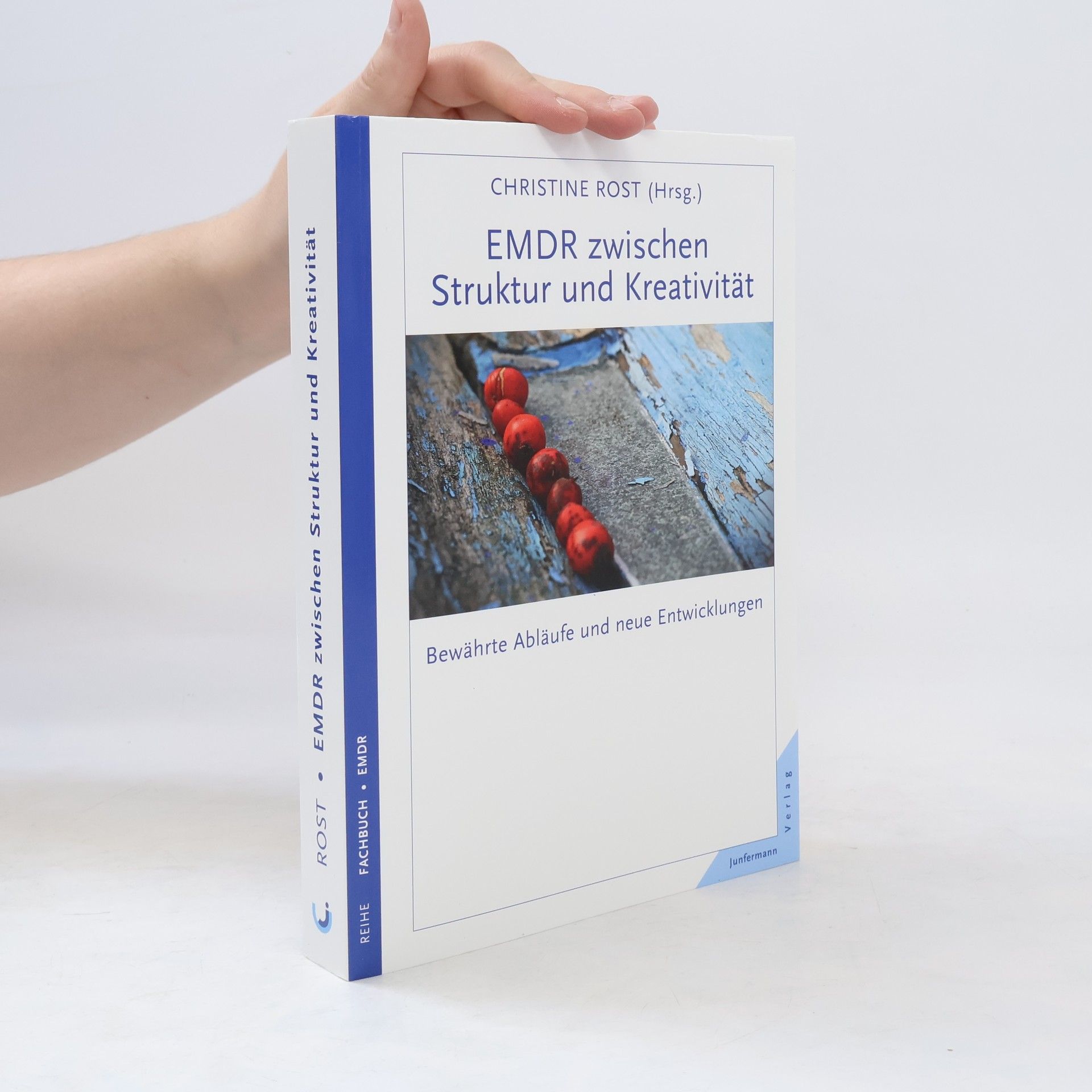 Christine Rost EMDR zwischen Struktur und Kreativität