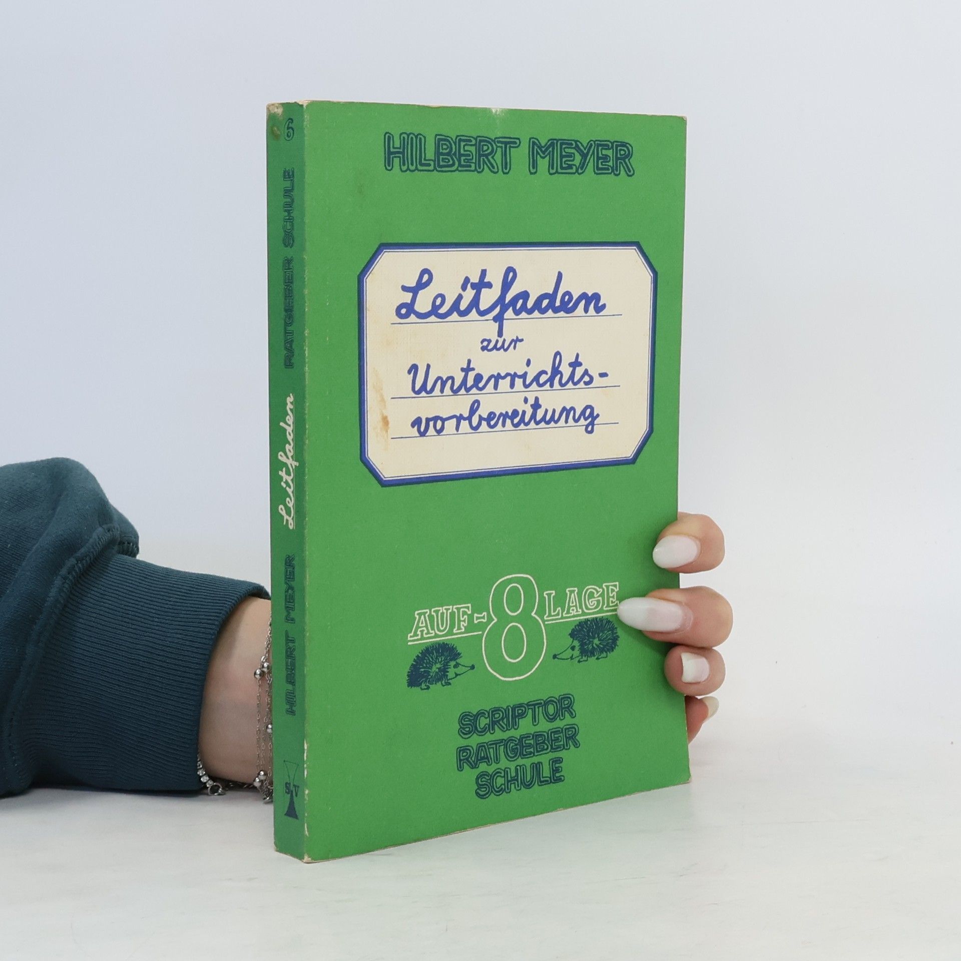 Hilbert Meyer Leitfaden zur Unterrichtsvorbereitung