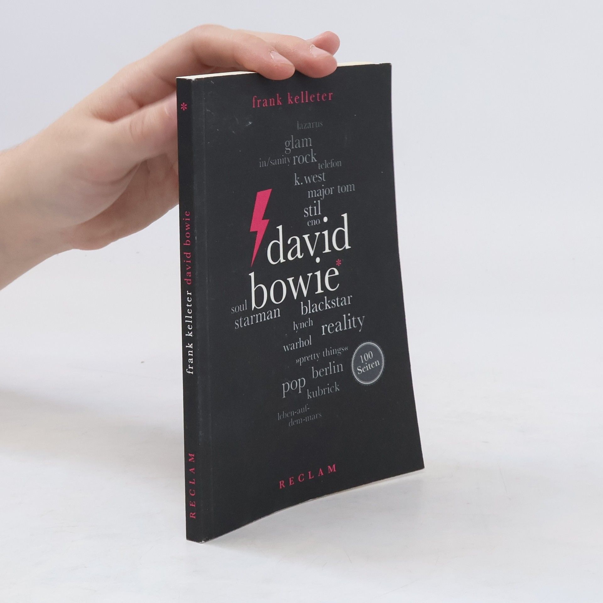 Frank Kelleter David Bowie. 100 Seiten