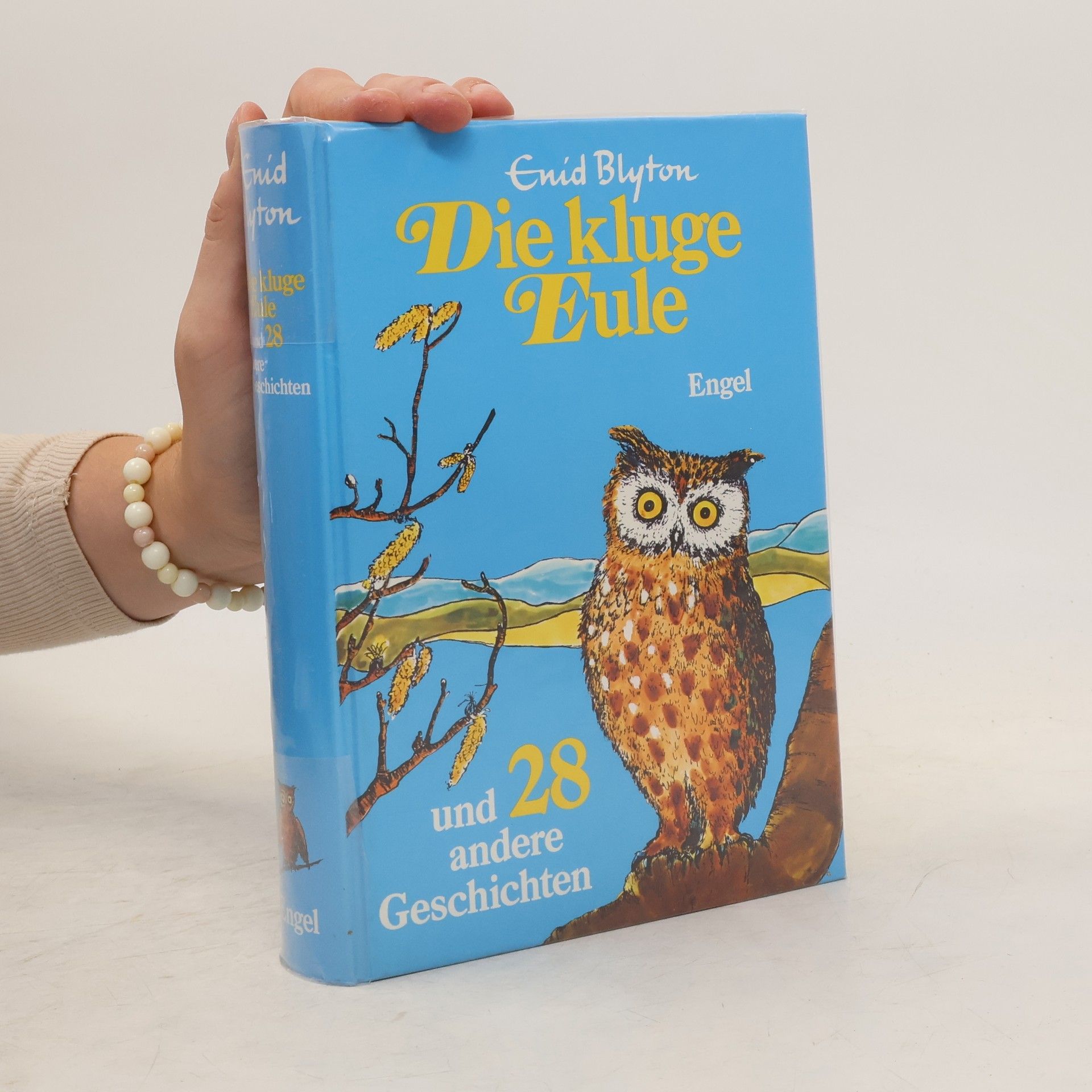 Enid Blyton Die kluge Eule