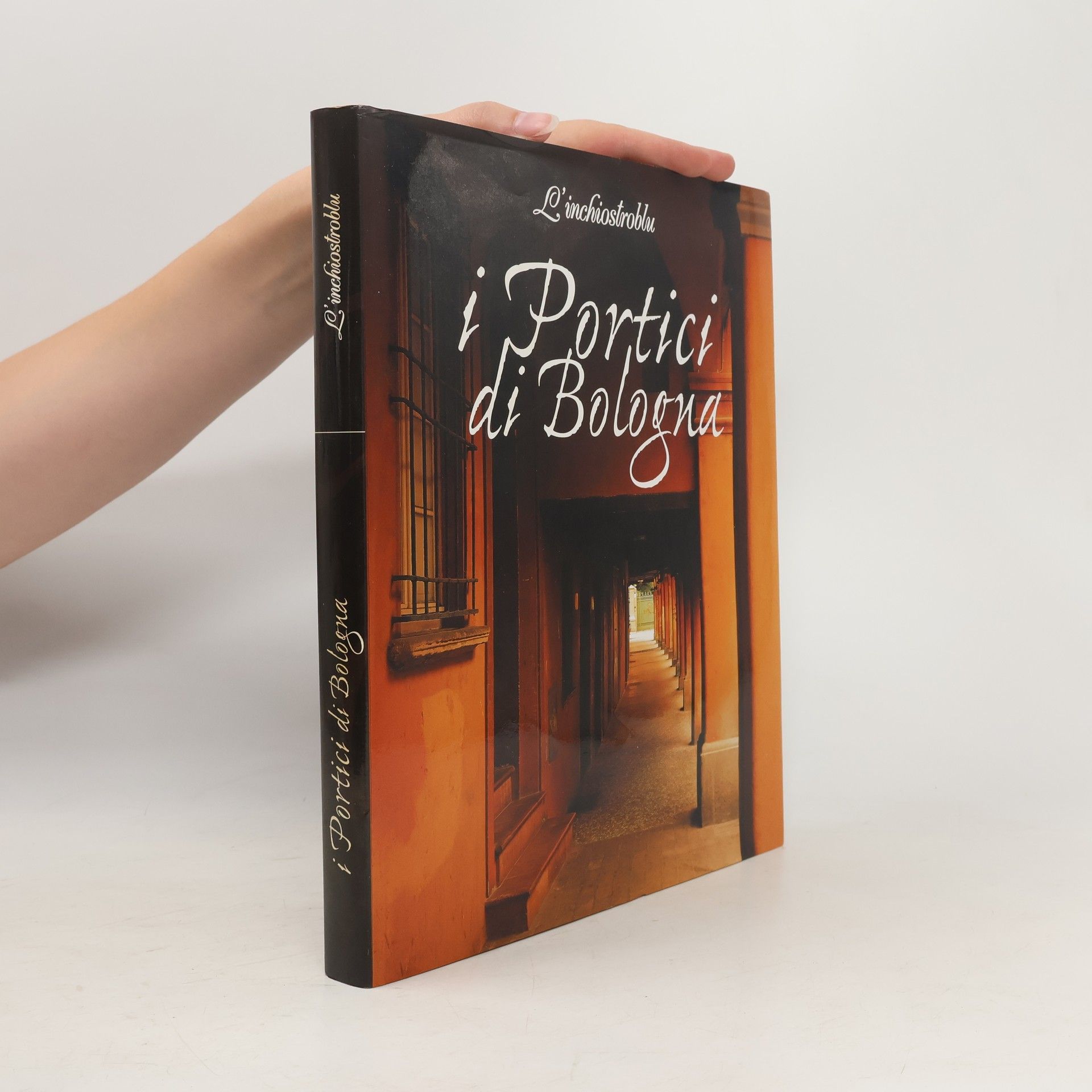 Guido Mascagni I portici di Bologna