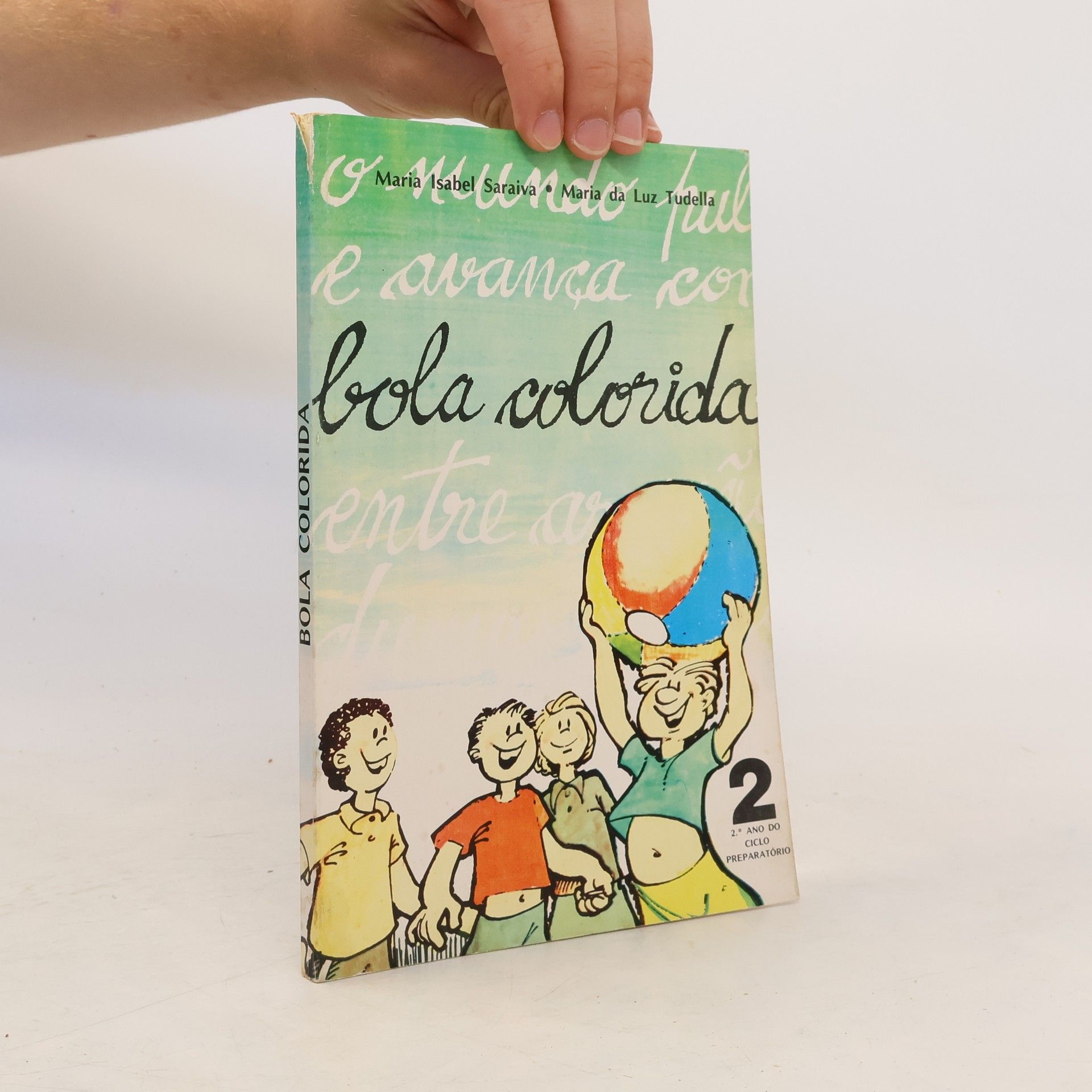 Maria Isabel Saraiva Bola Colorida 2