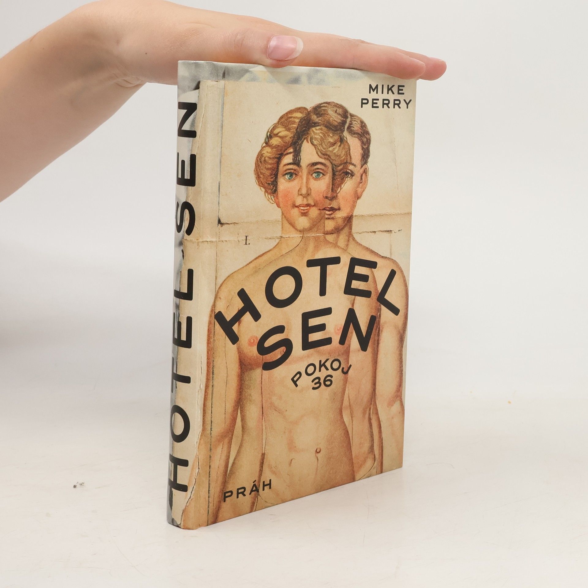 Mike Perry Hotel Sen : pokoj 36