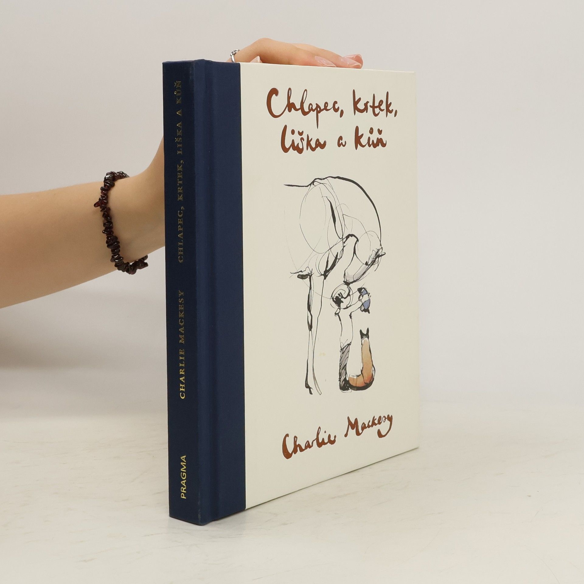 Charlie Mackesy Chlapec, krtek, liška a kůň