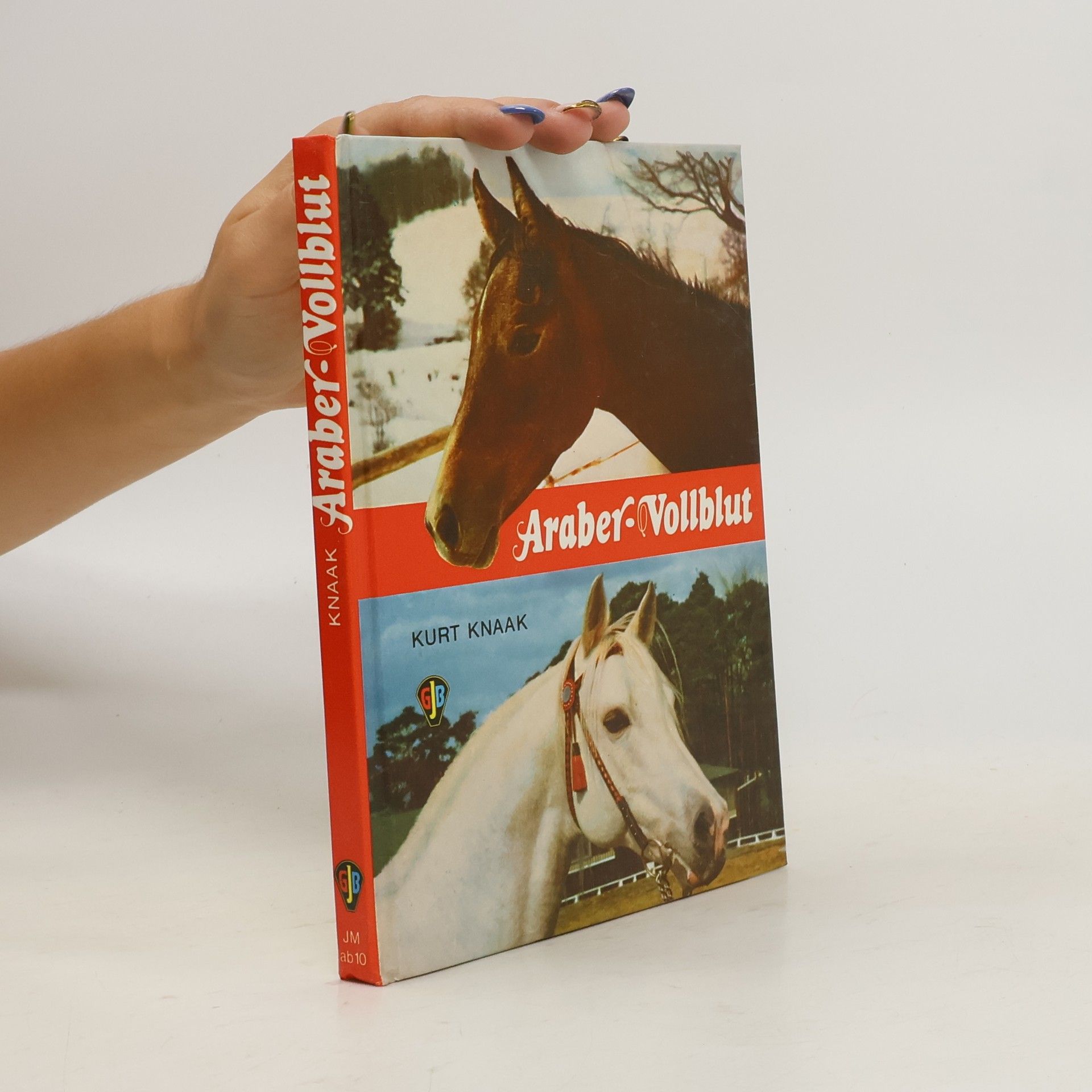 Kurt Knaak Araber-Vollblut