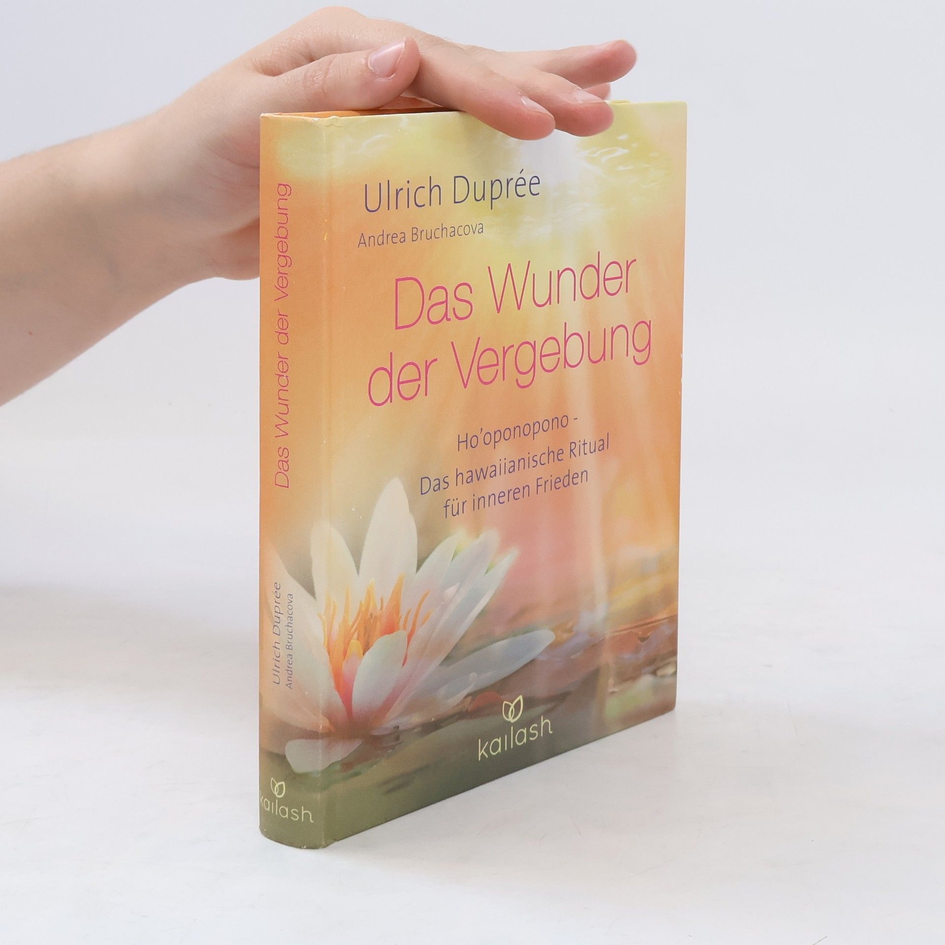 Ulrich Emil Duprée Das Wunder der Vergebung