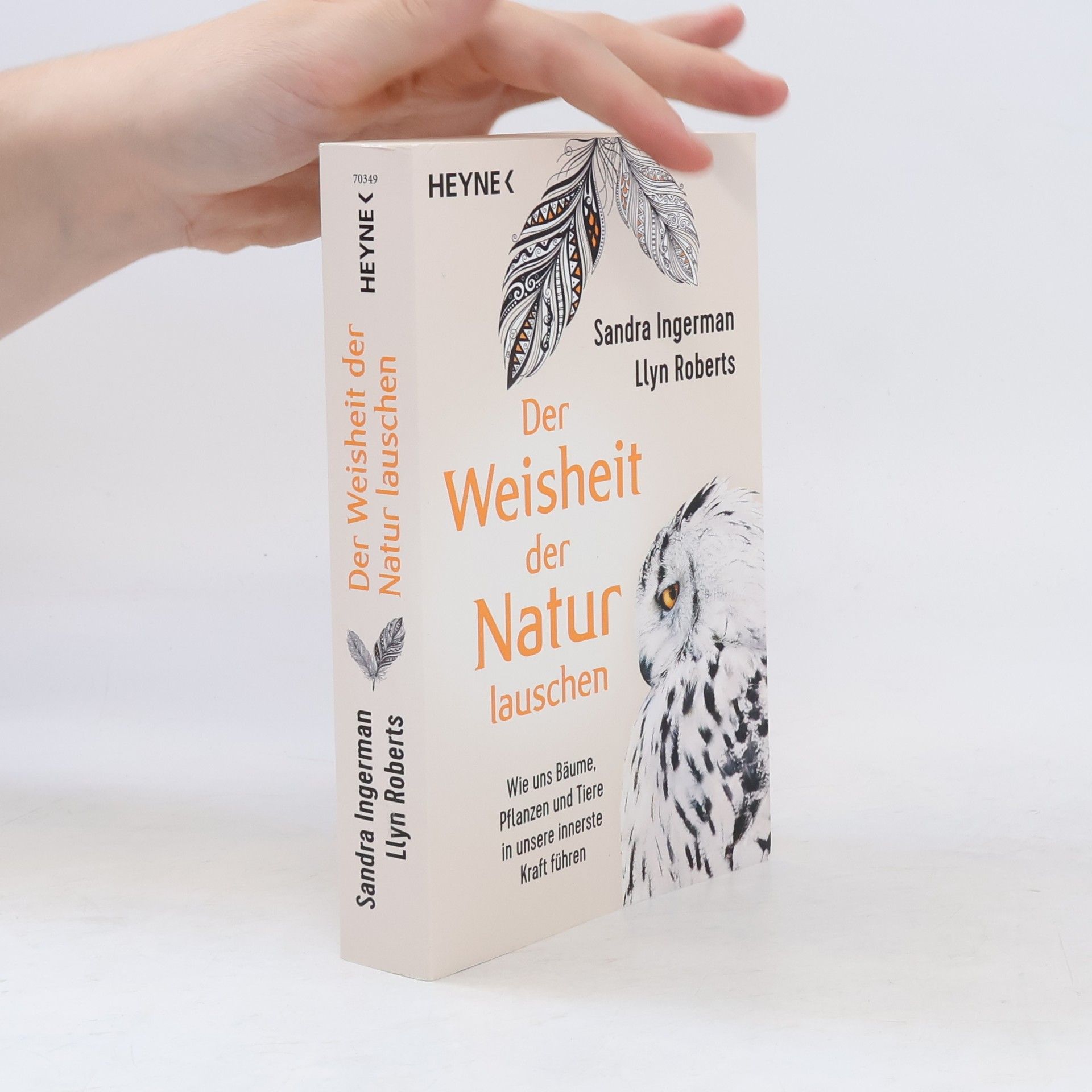 Sandra Ingerman Der Weisheit der Natur lauschen