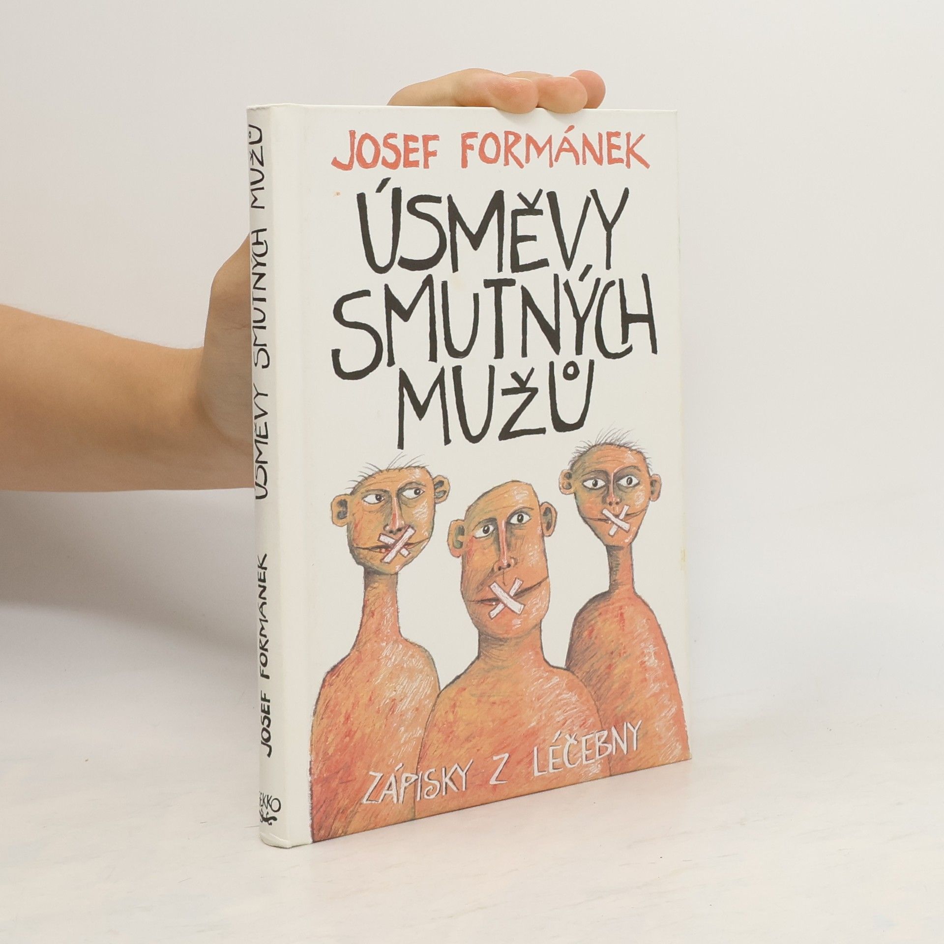 Úsměvy smutných mužů. Zápisky z léčebny