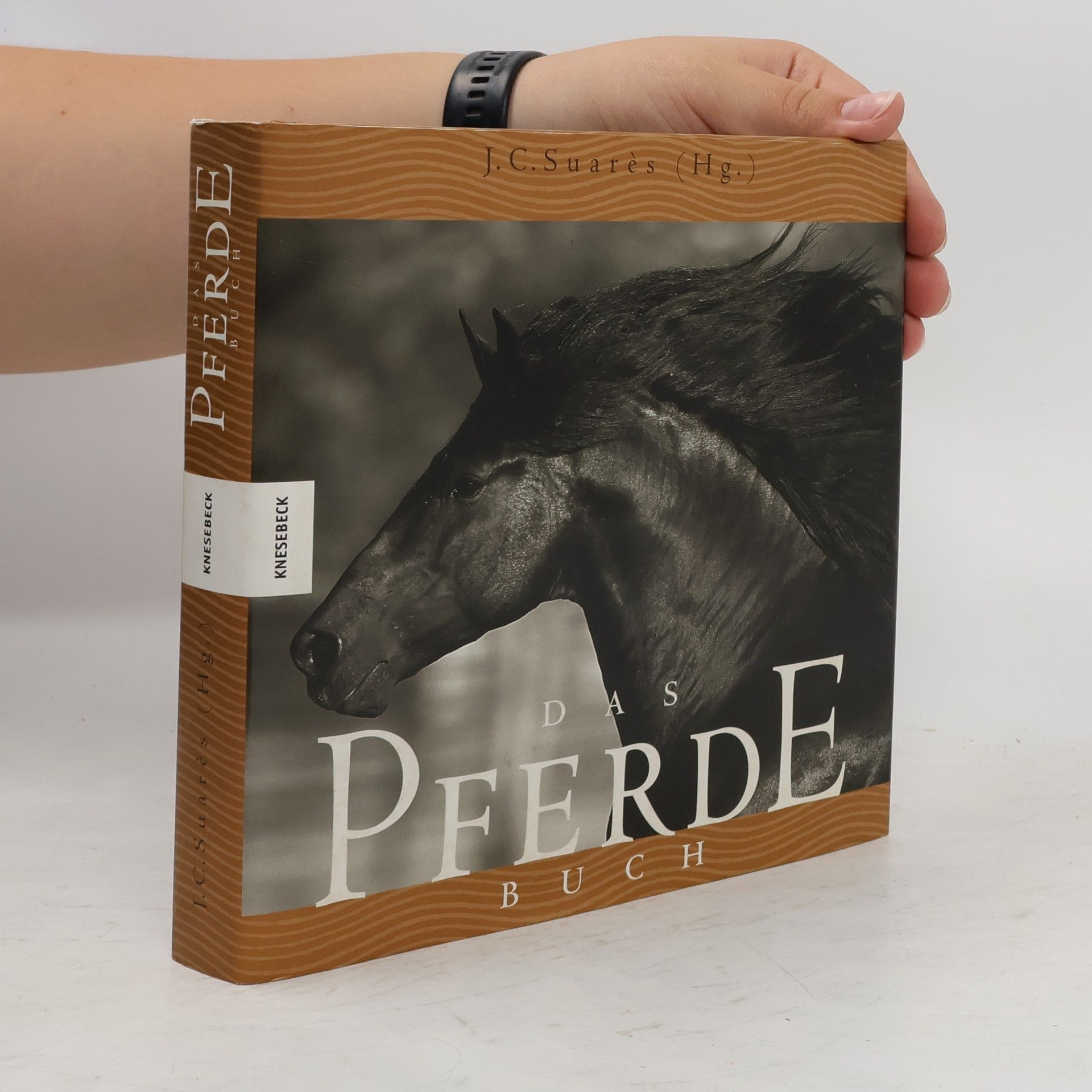 Jean-Claude Suarès Das Pferde-Buch