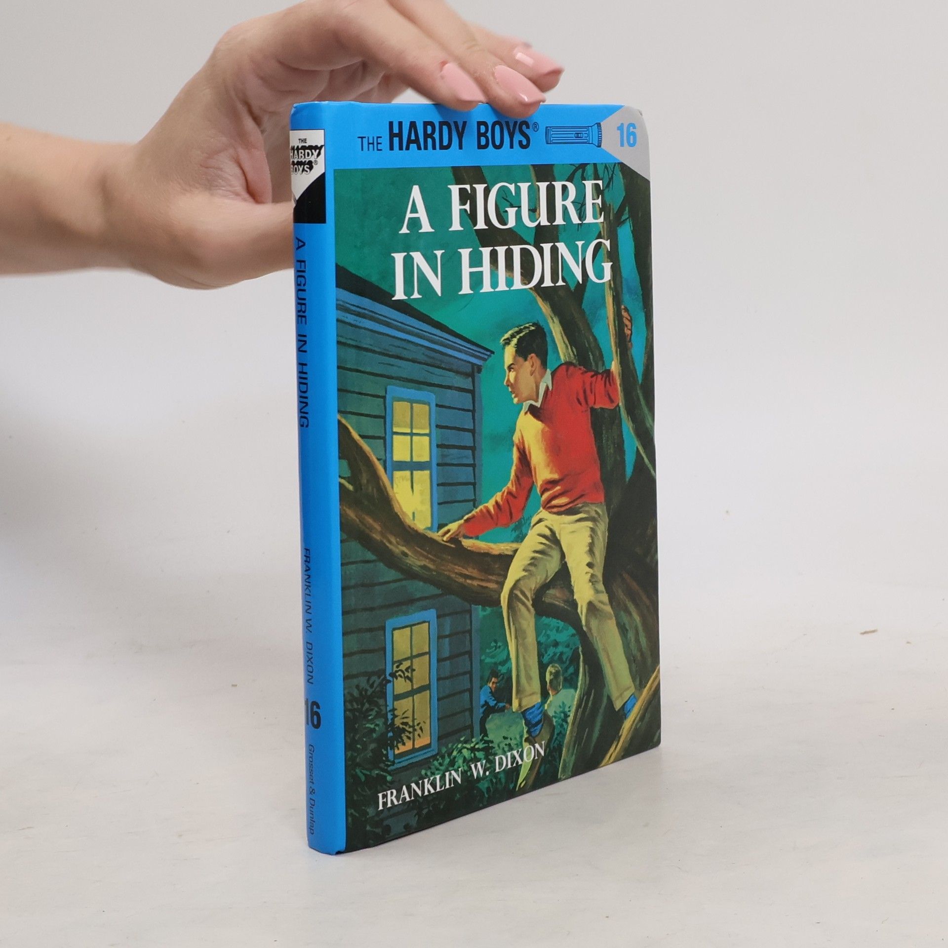 Franklin W. Dixon A Figure in Hiding