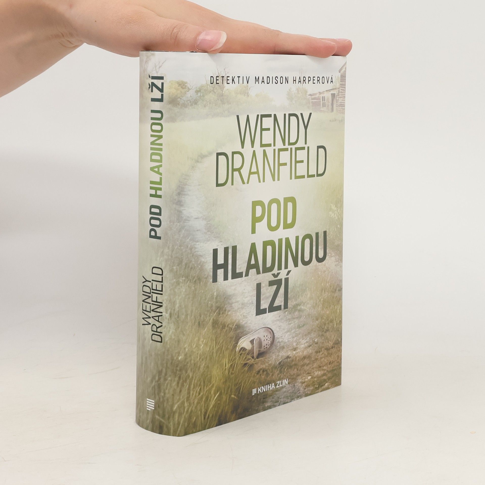 Wendy Dranfield Pod hladinou lží